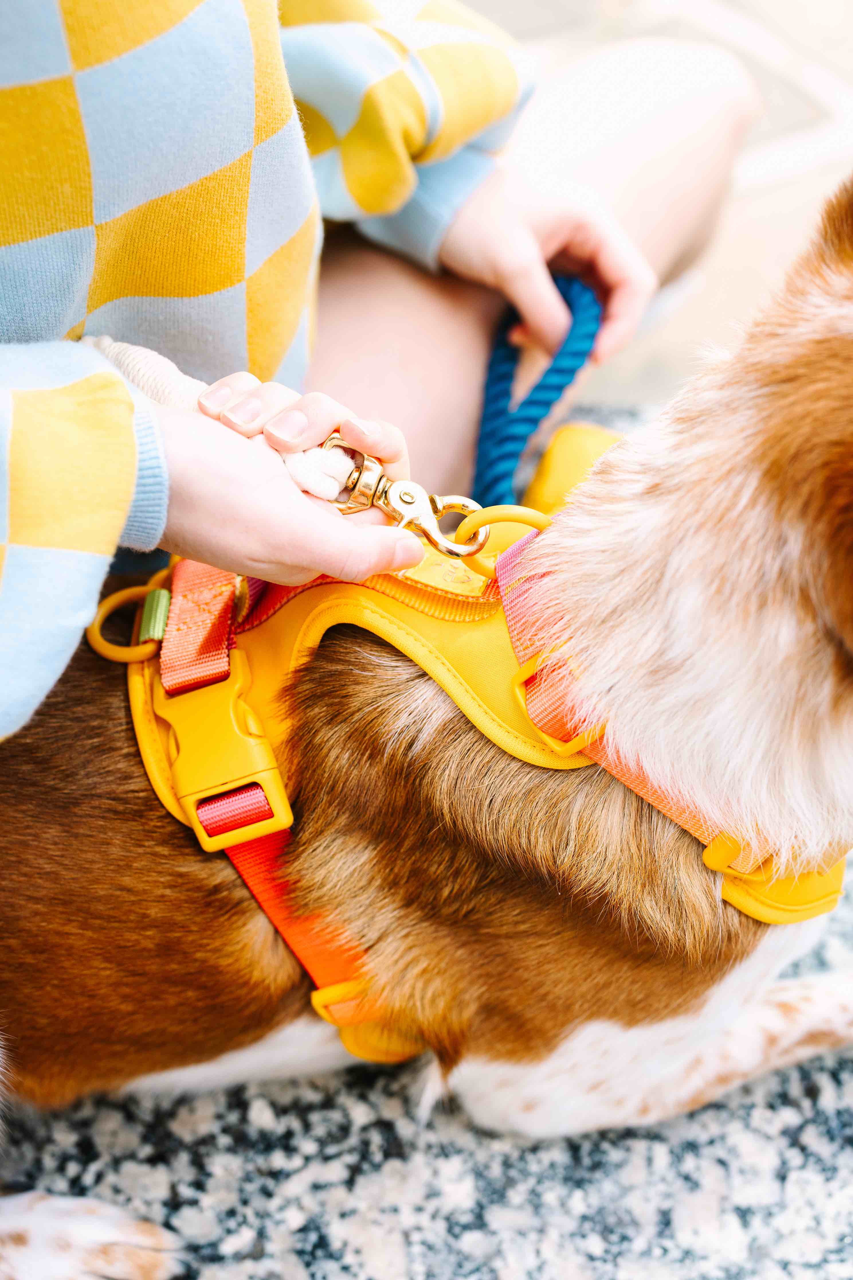Kenna Dog Harness | Pink Papyrus