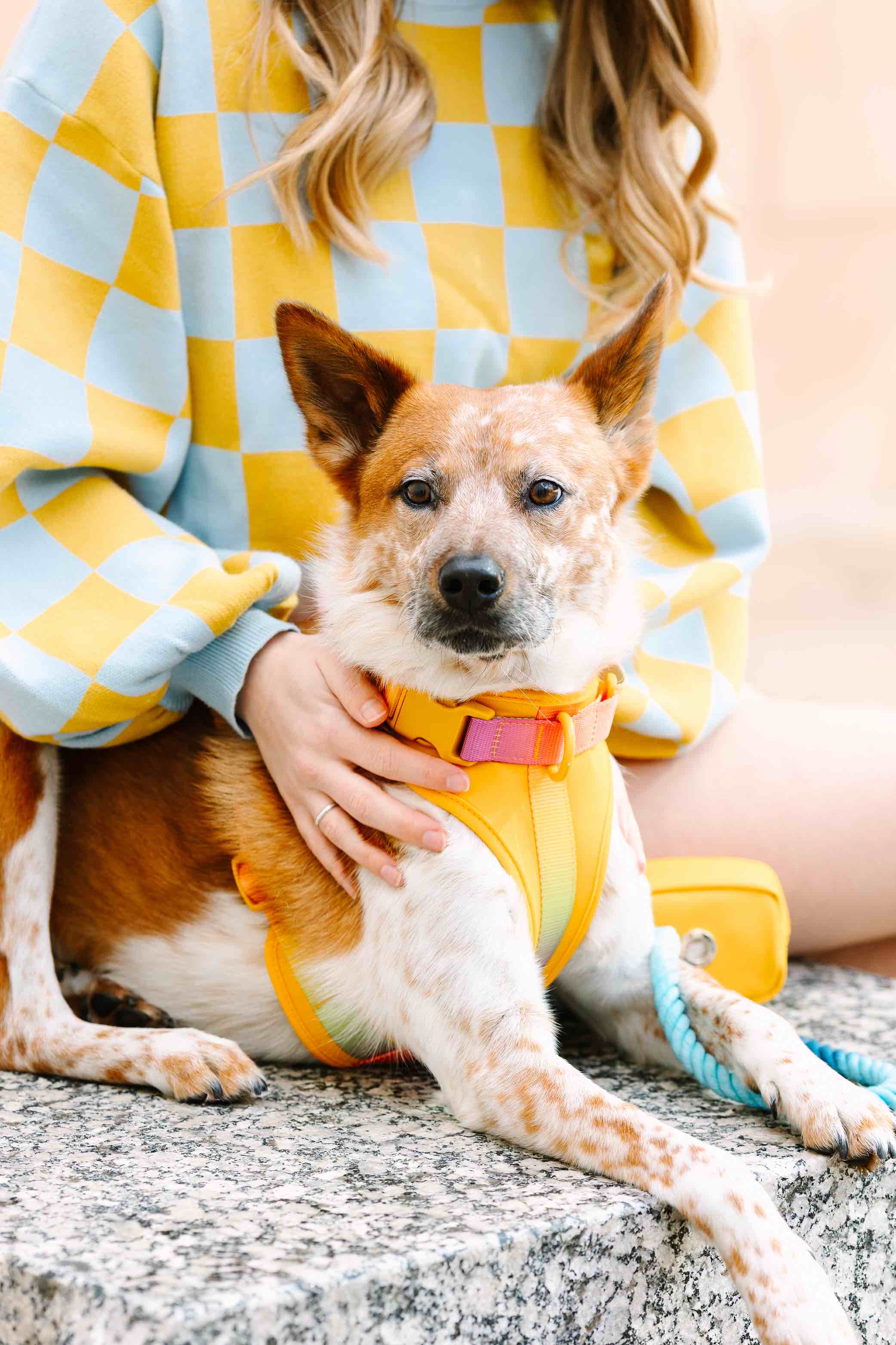 Kenna Dog Harness | Pink Papyrus