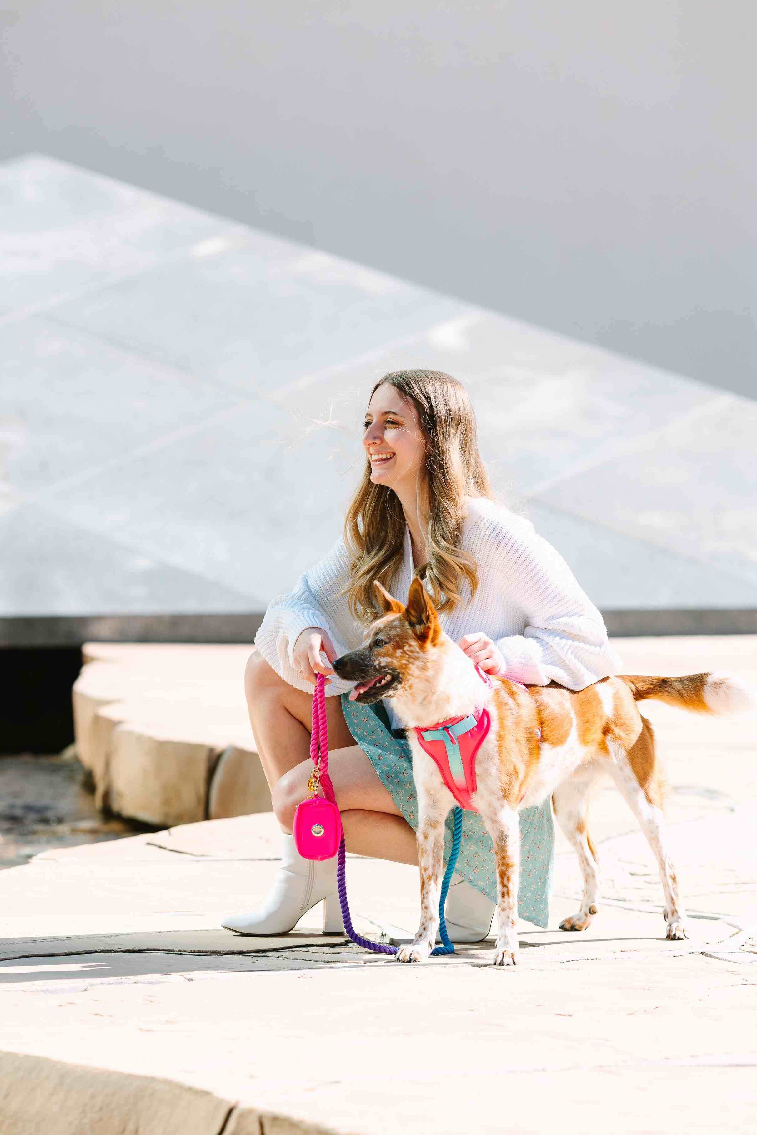 Stasia Dog Harness | Pink Papyrus