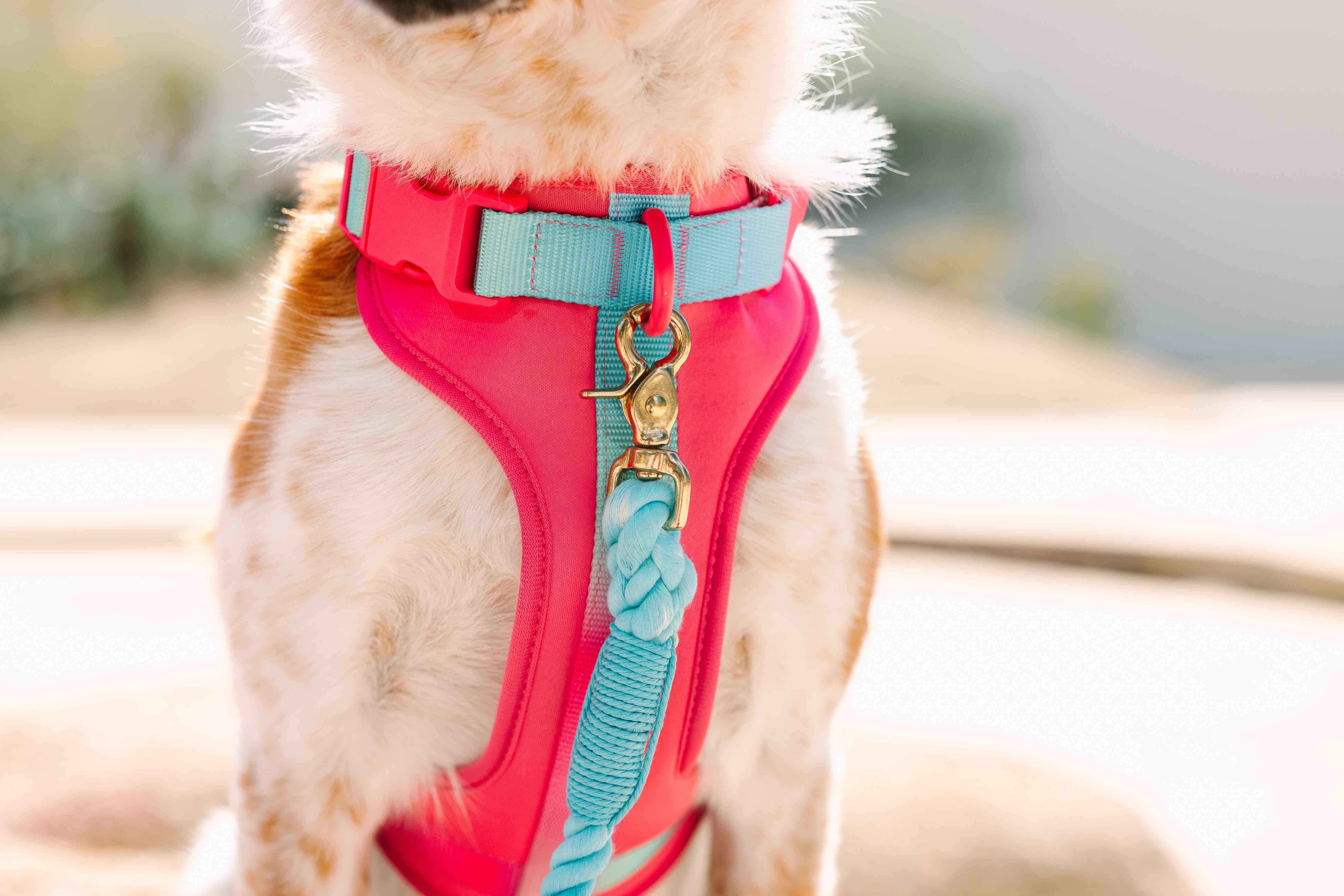 Stasia Dog Harness | Pink Papyrus