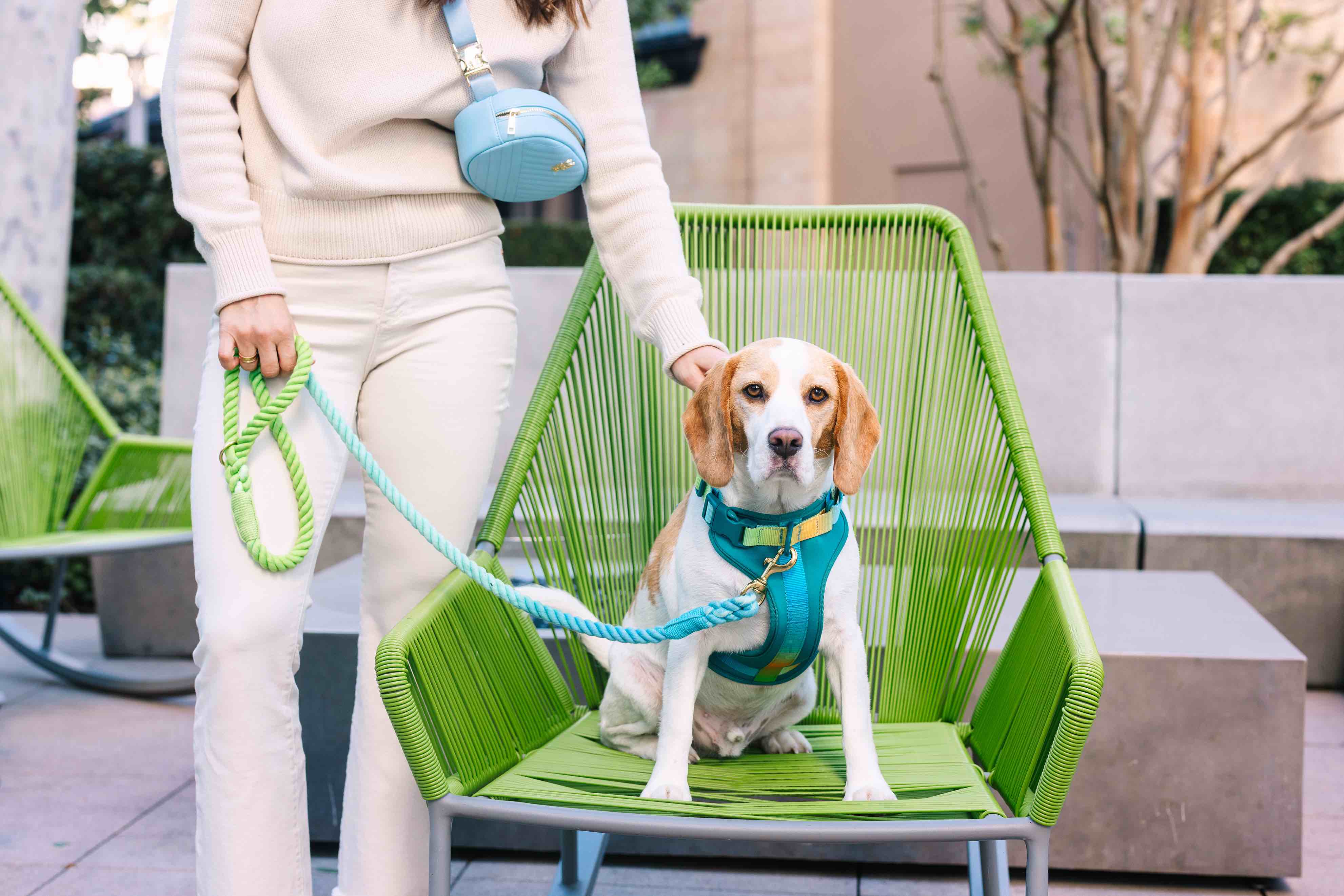 Joey Dog Harness | Pink Papyrus