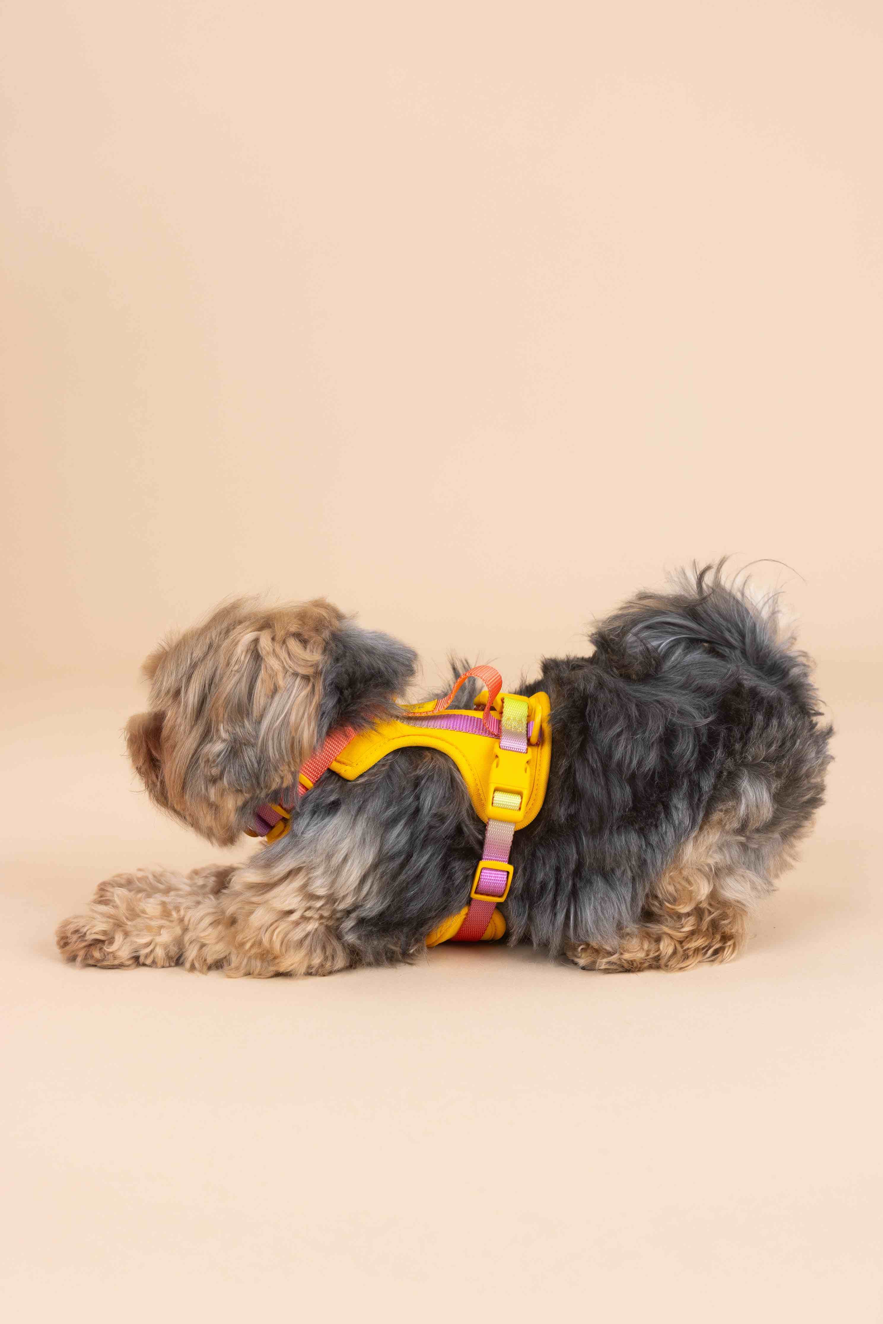 Kenna Dog Harness | Pink Papyrus