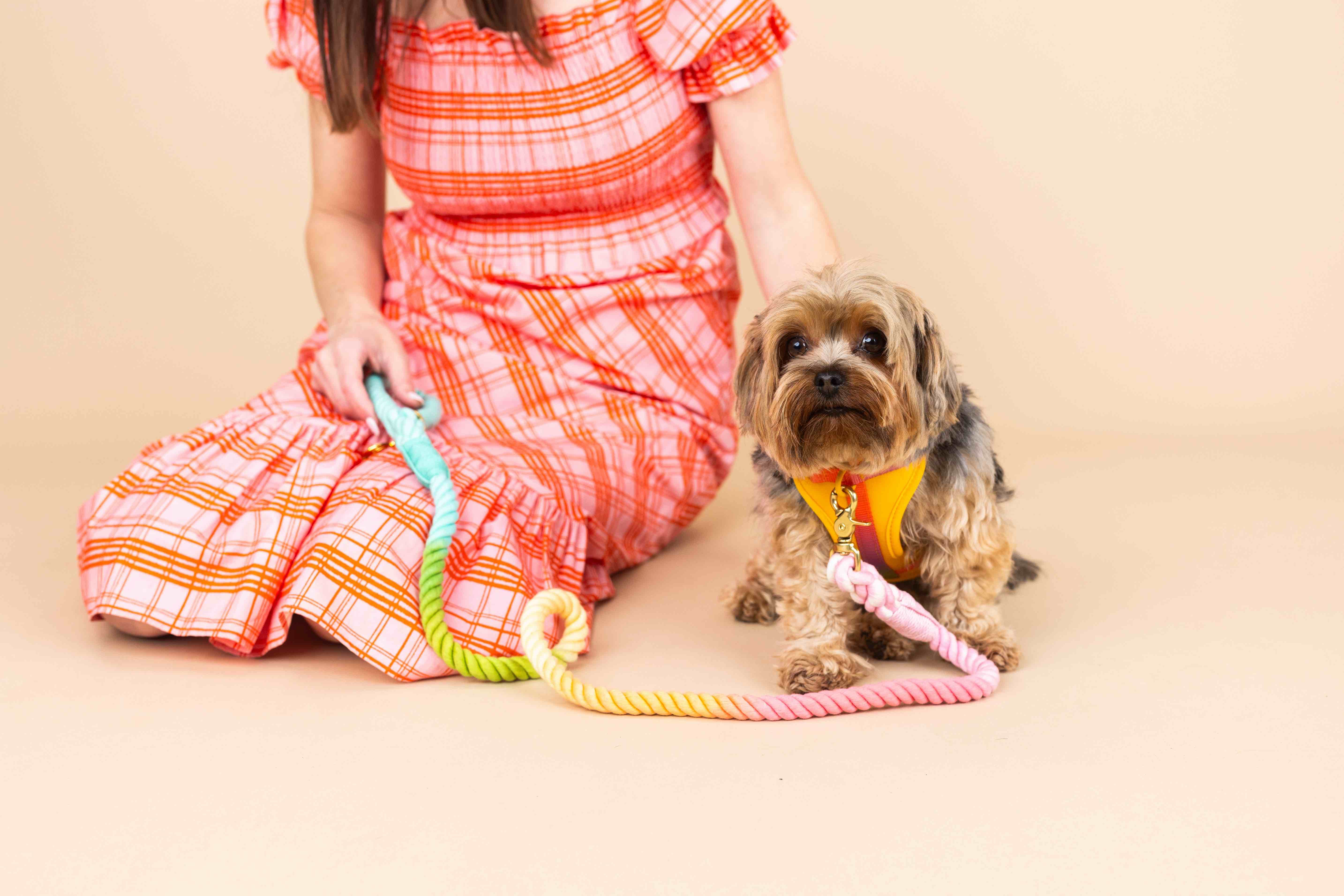 Kenna Dog Harness | Pink Papyrus