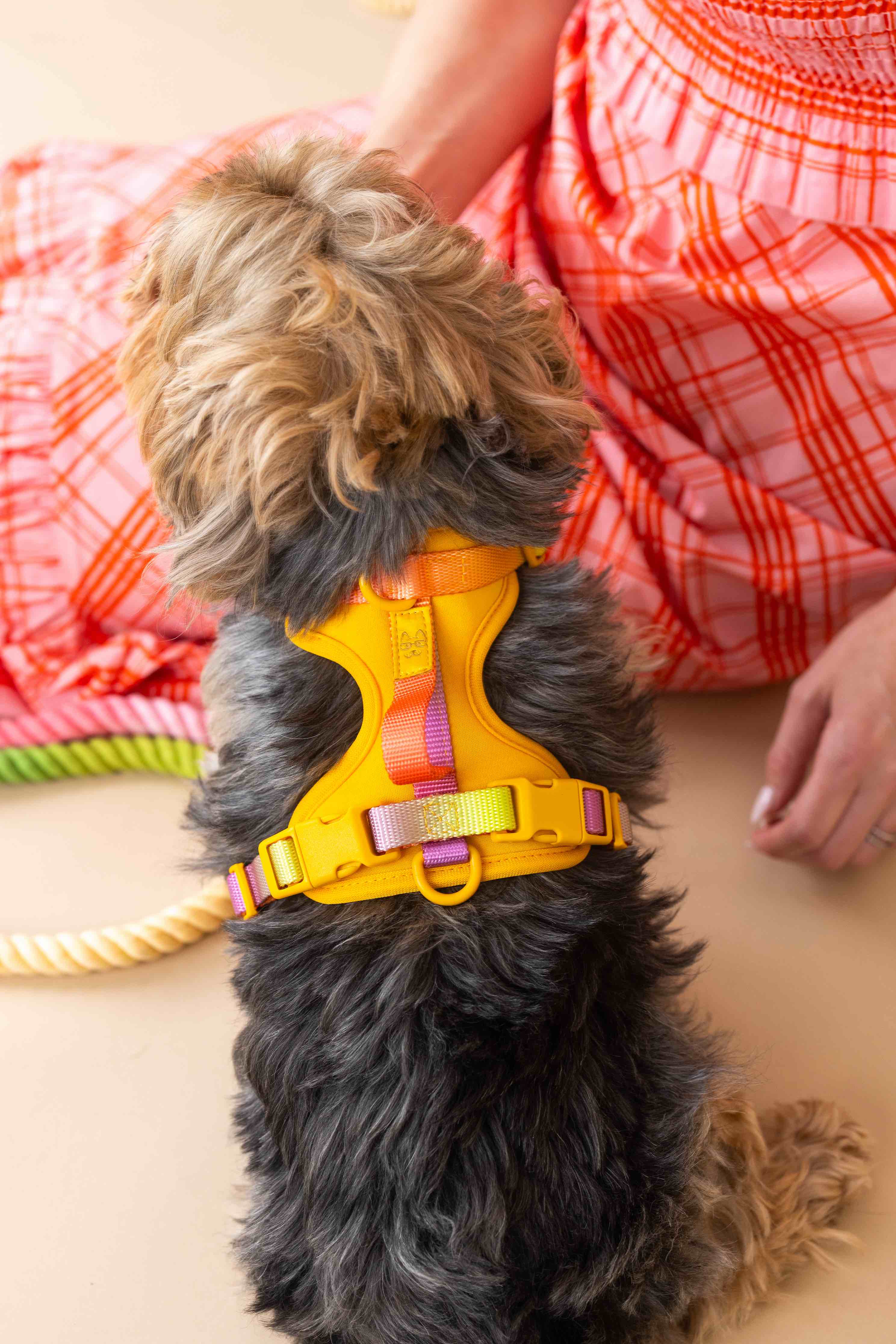 Kenna Dog Harness | Pink Papyrus
