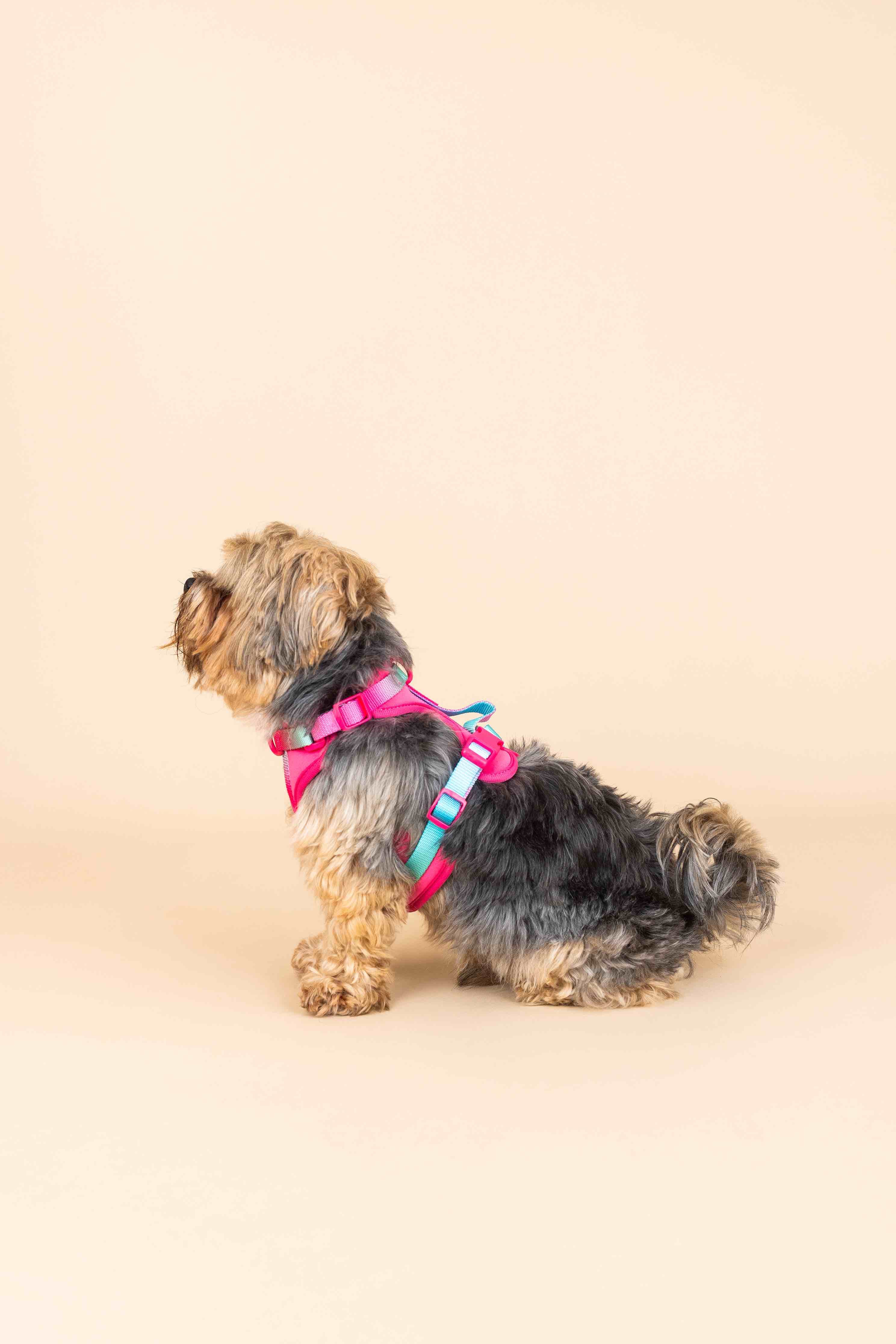Stasia Dog Harness | Pink Papyrus