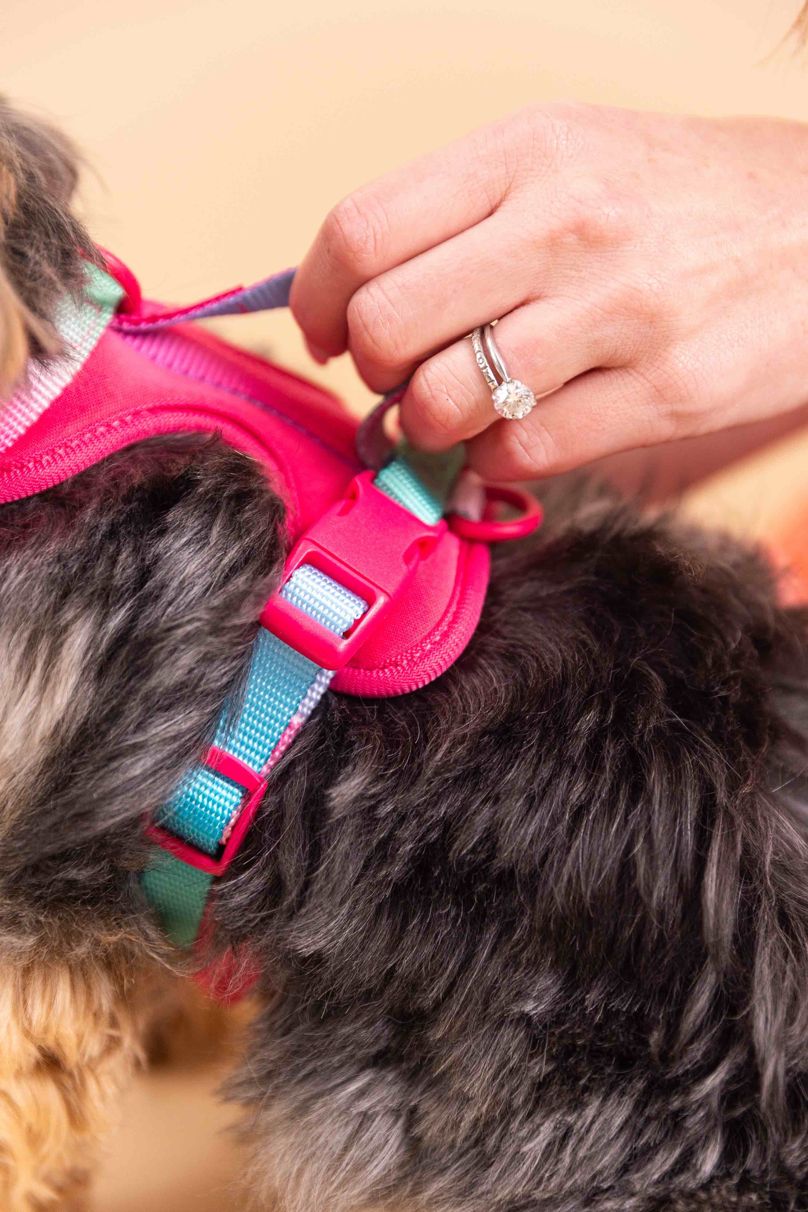Stasia Dog Harness | Pink Papyrus