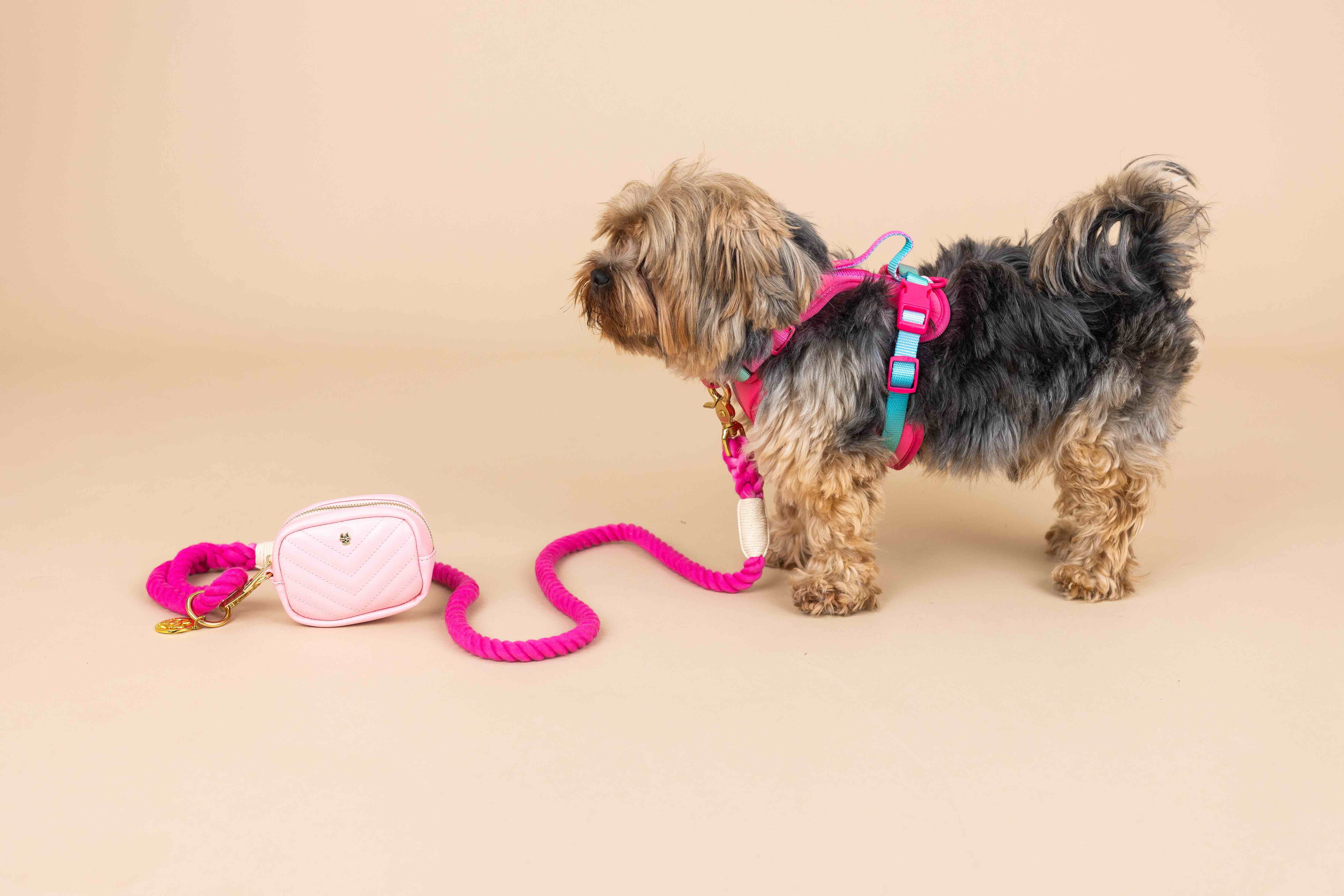 Stasia Dog Harness | Pink Papyrus