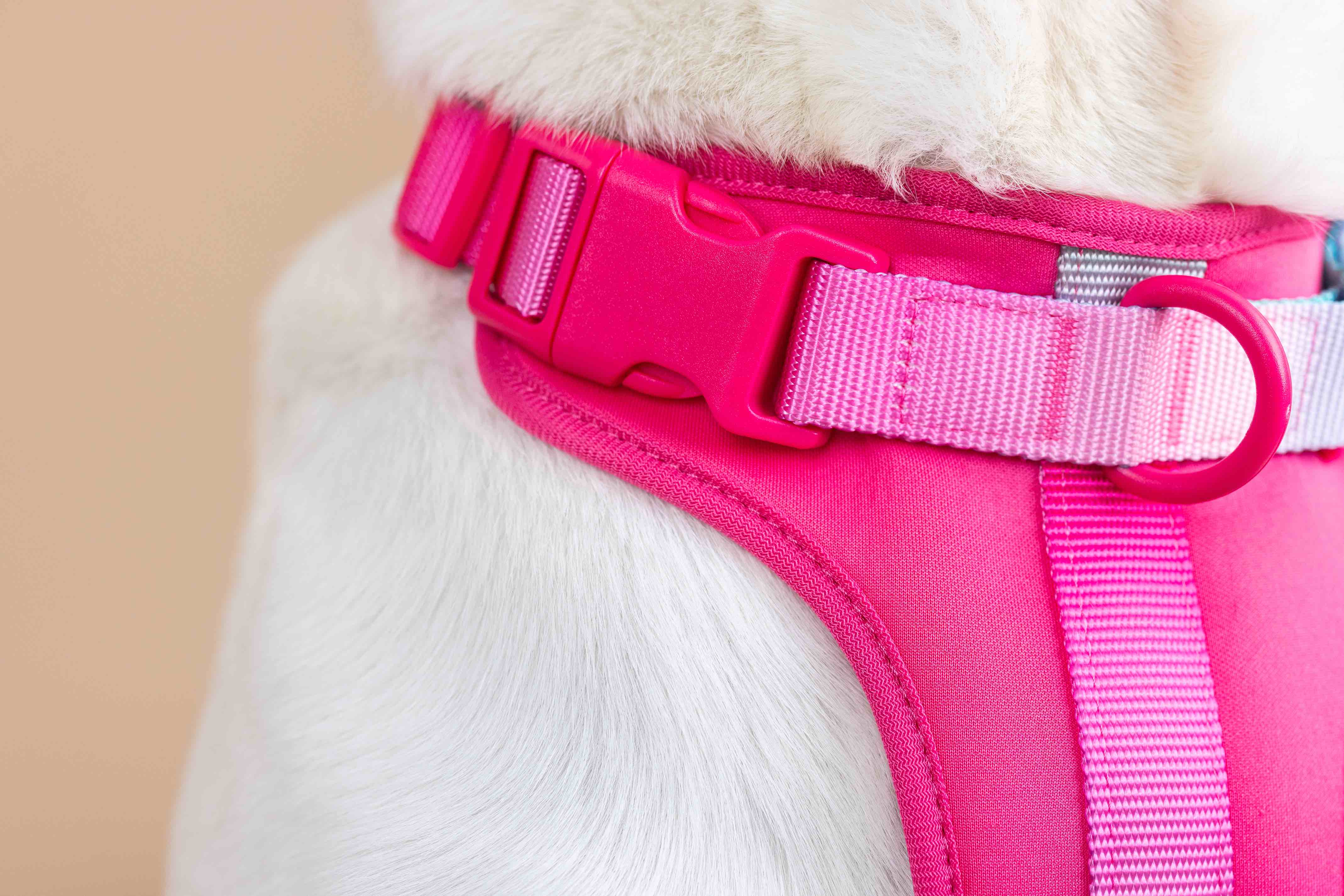 Stasia Dog Harness | Pink Papyrus