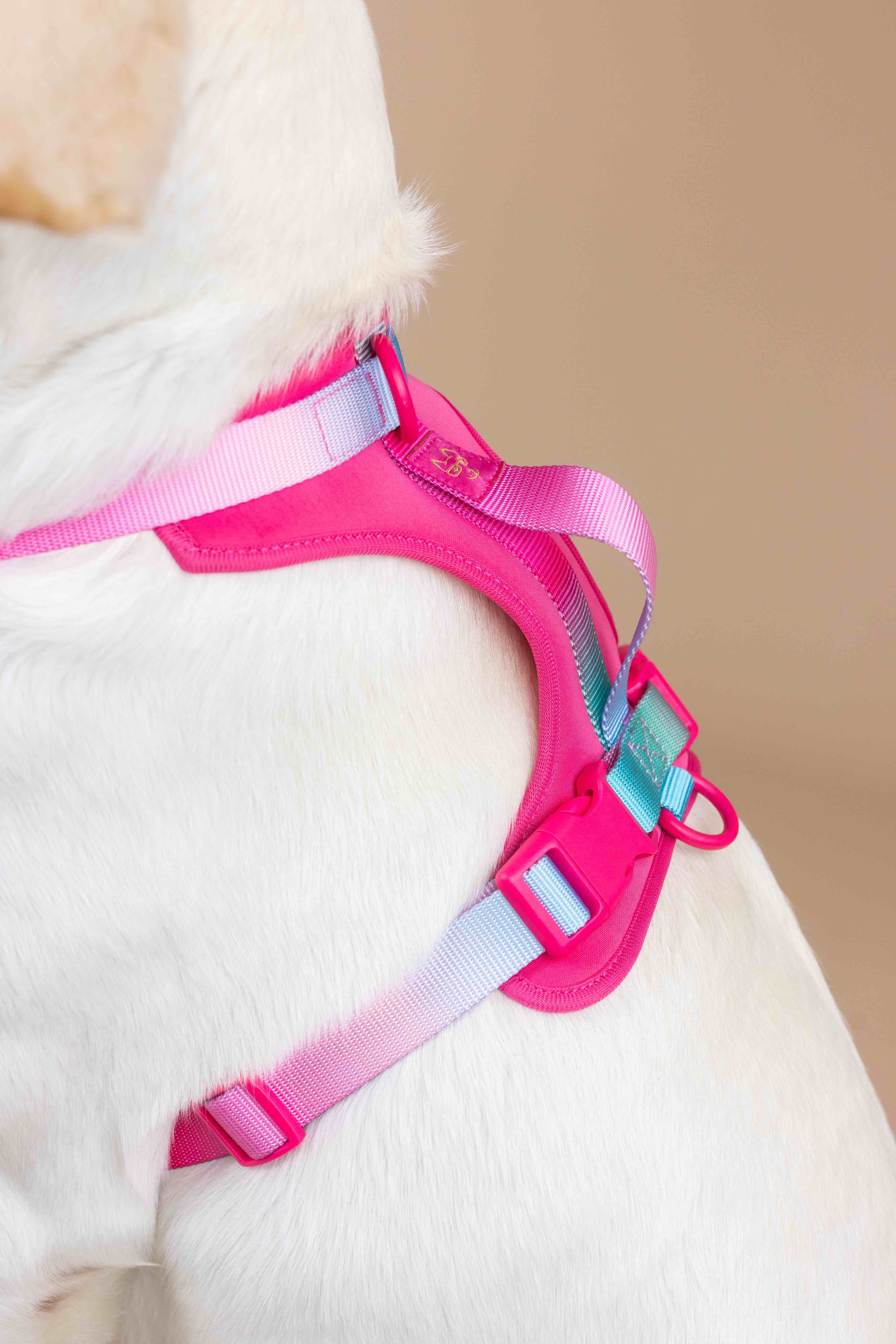 Stasia Dog Harness | Pink Papyrus