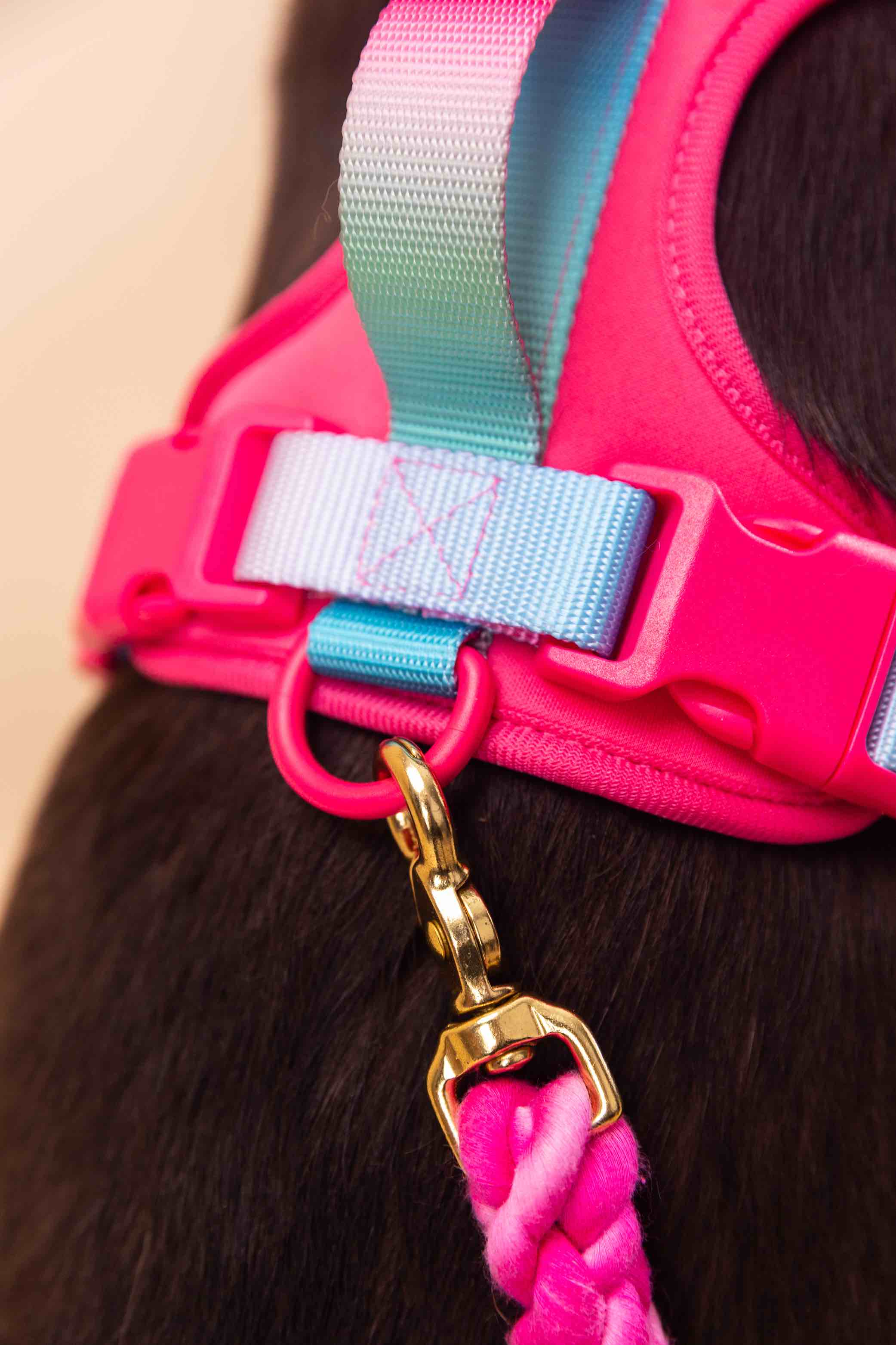 Stasia Dog Harness | Pink Papyrus