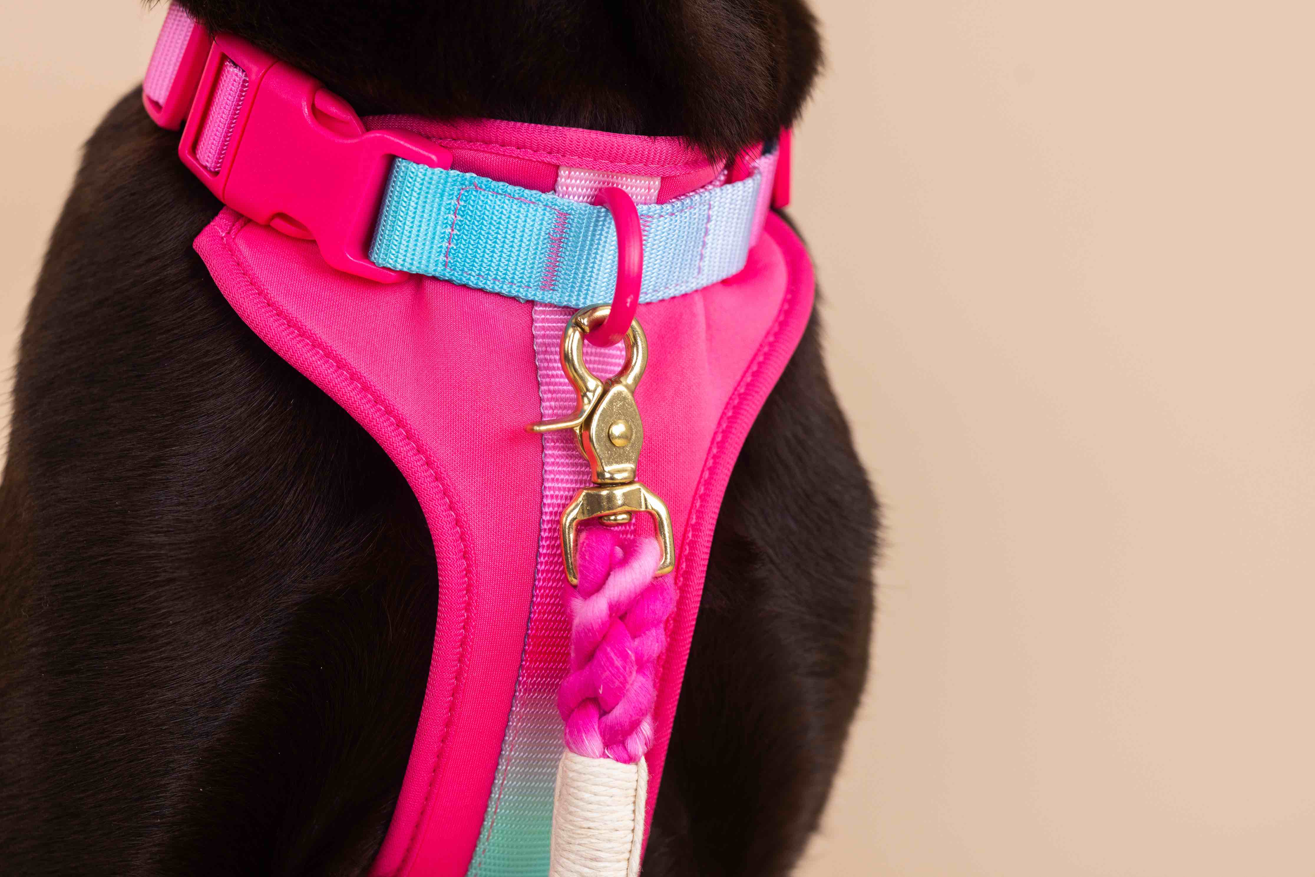 Stasia Dog Harness | Pink Papyrus