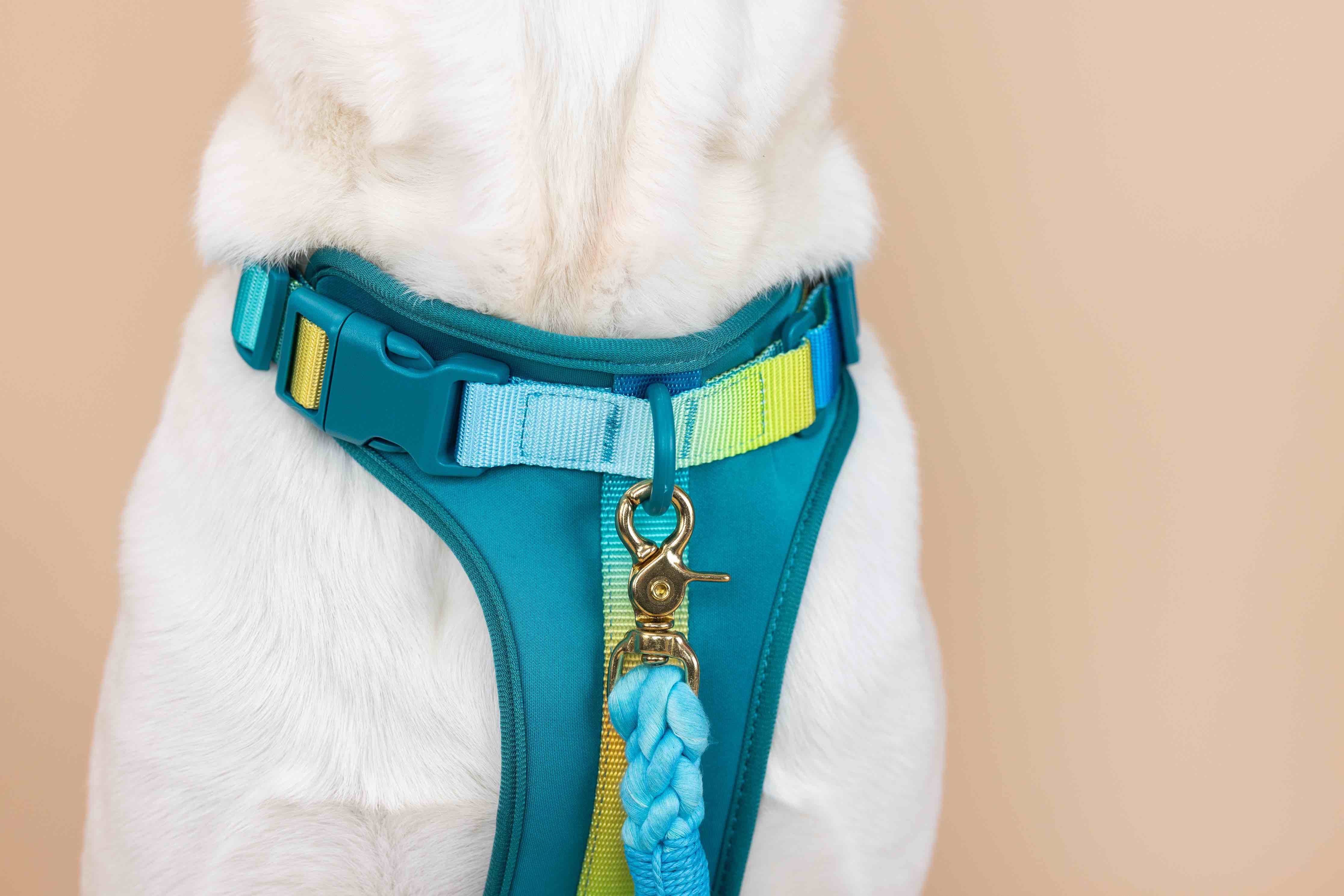 Joey Dog Harness | Pink Papyrus