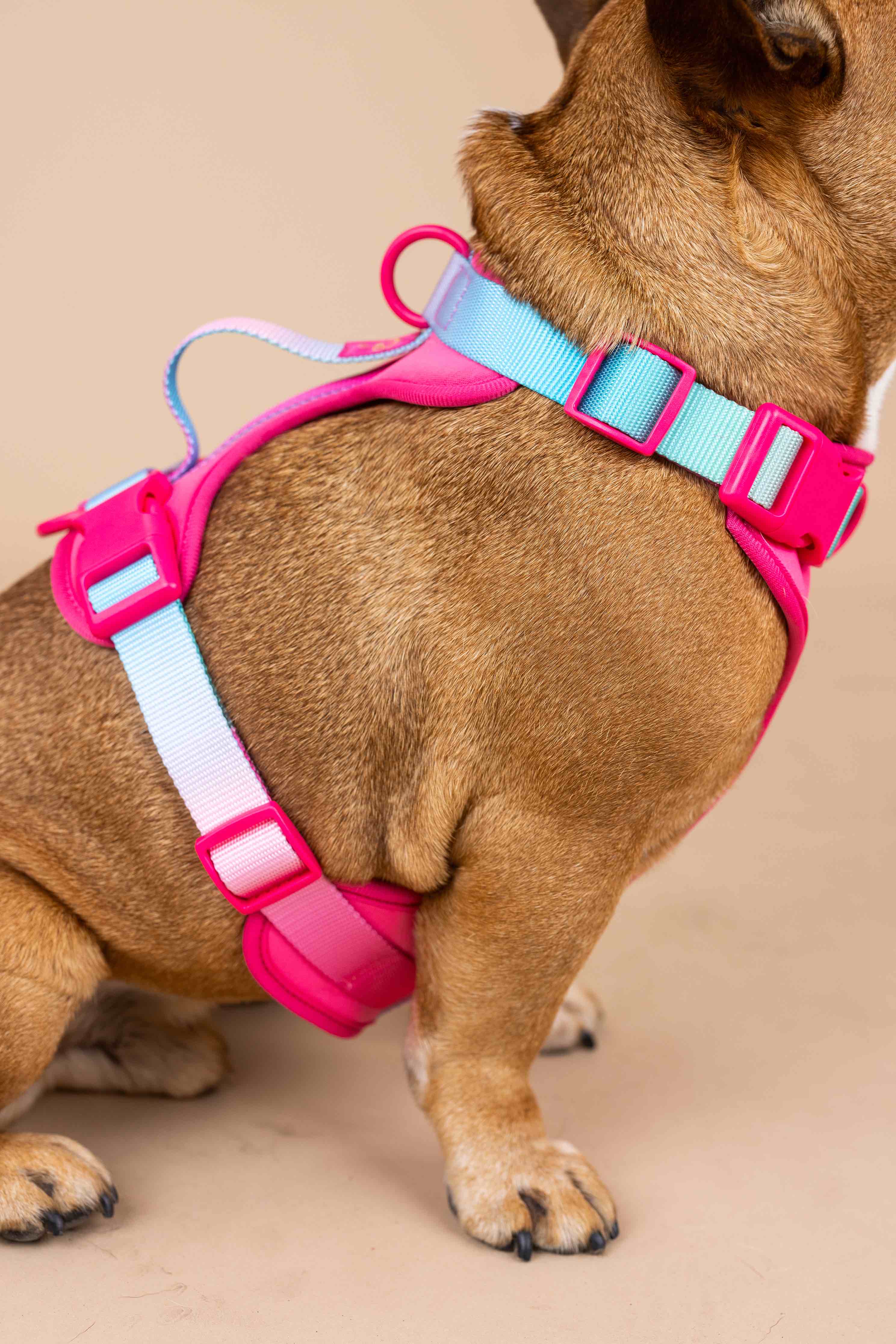Stasia Dog Harness | Pink Papyrus