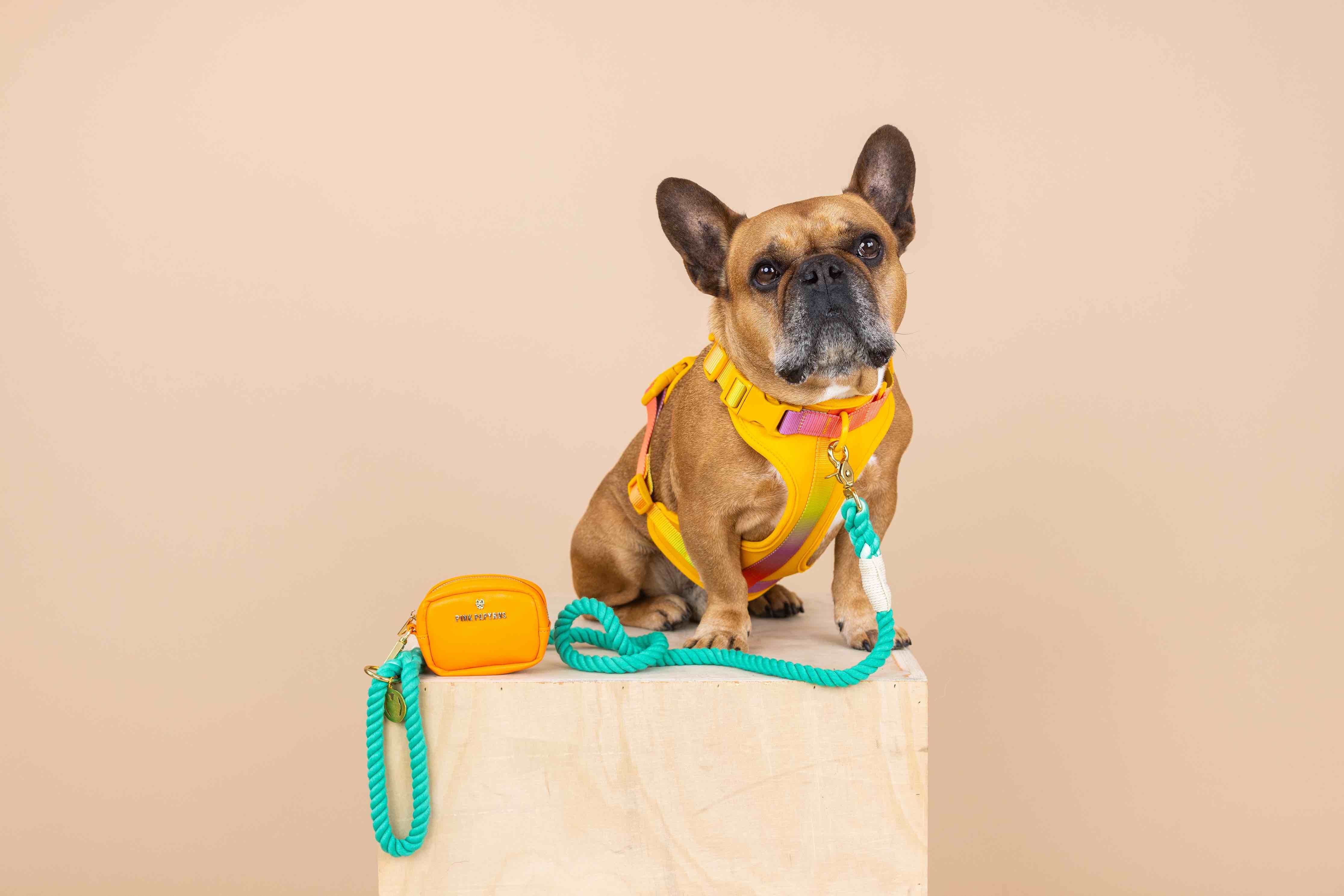 Kenna Dog Harness | Pink Papyrus