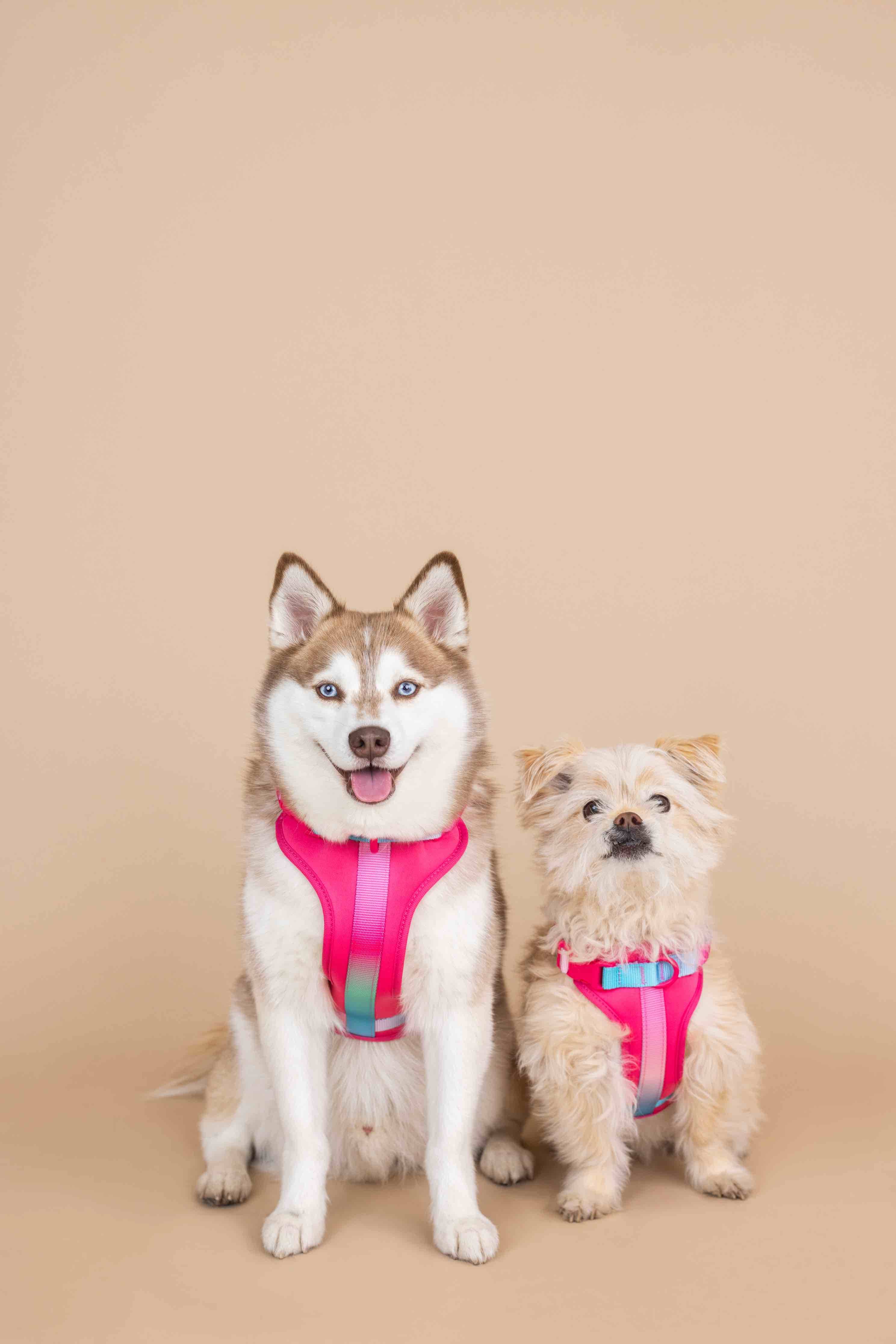 Stasia Dog Harness | Pink Papyrus