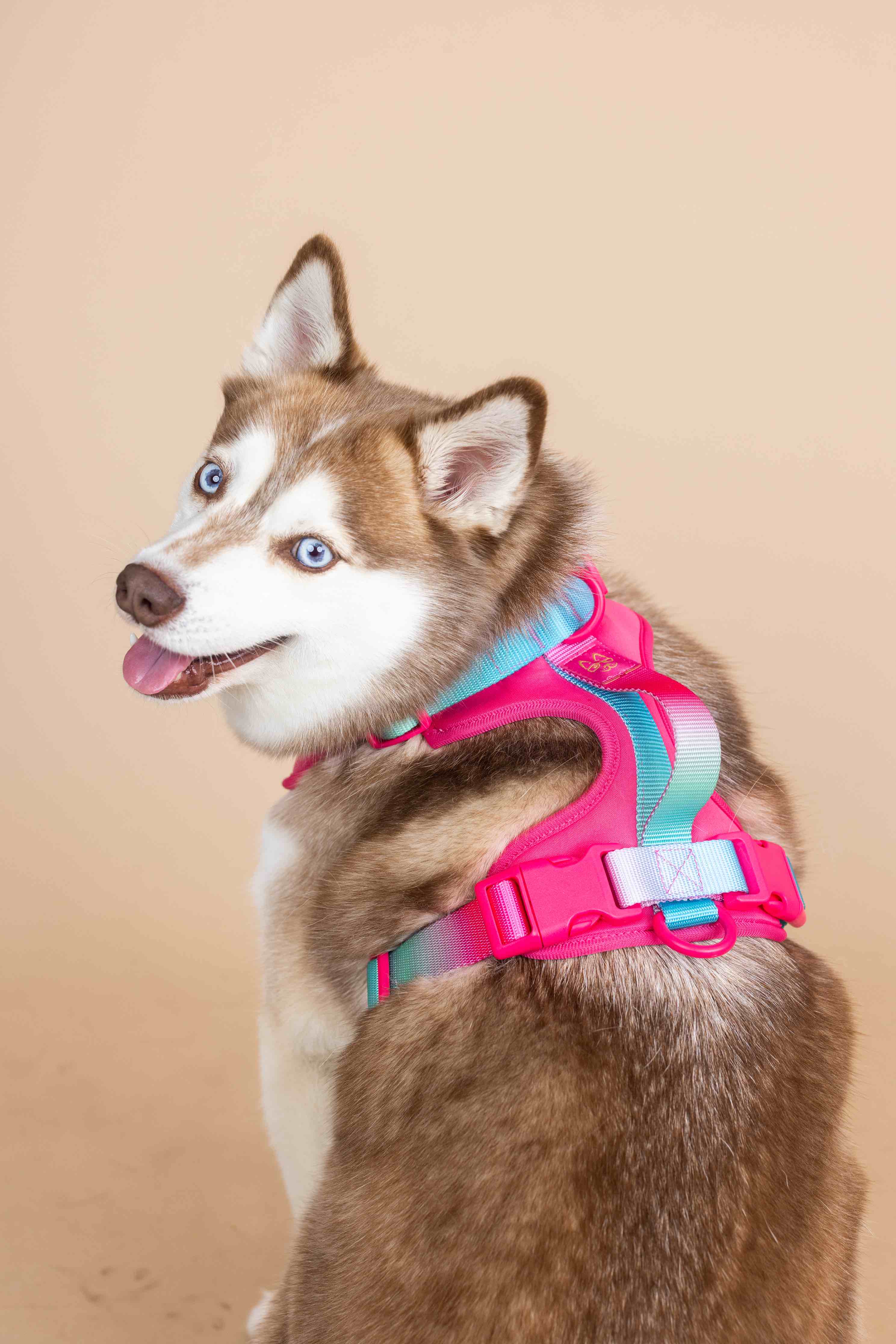 Stasia Dog Harness | Pink Papyrus