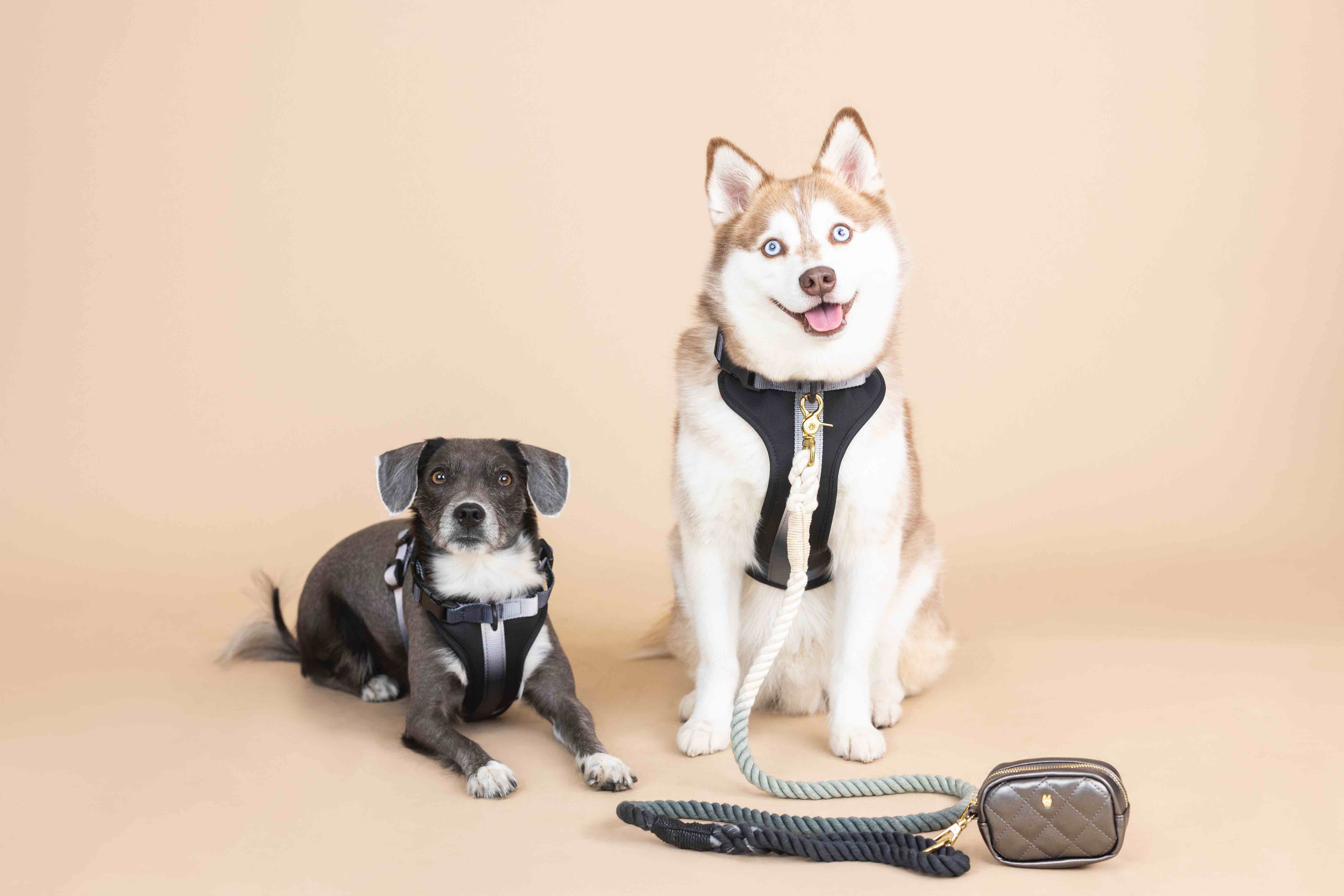 Rowan Dog Harness | Pink Papyrus