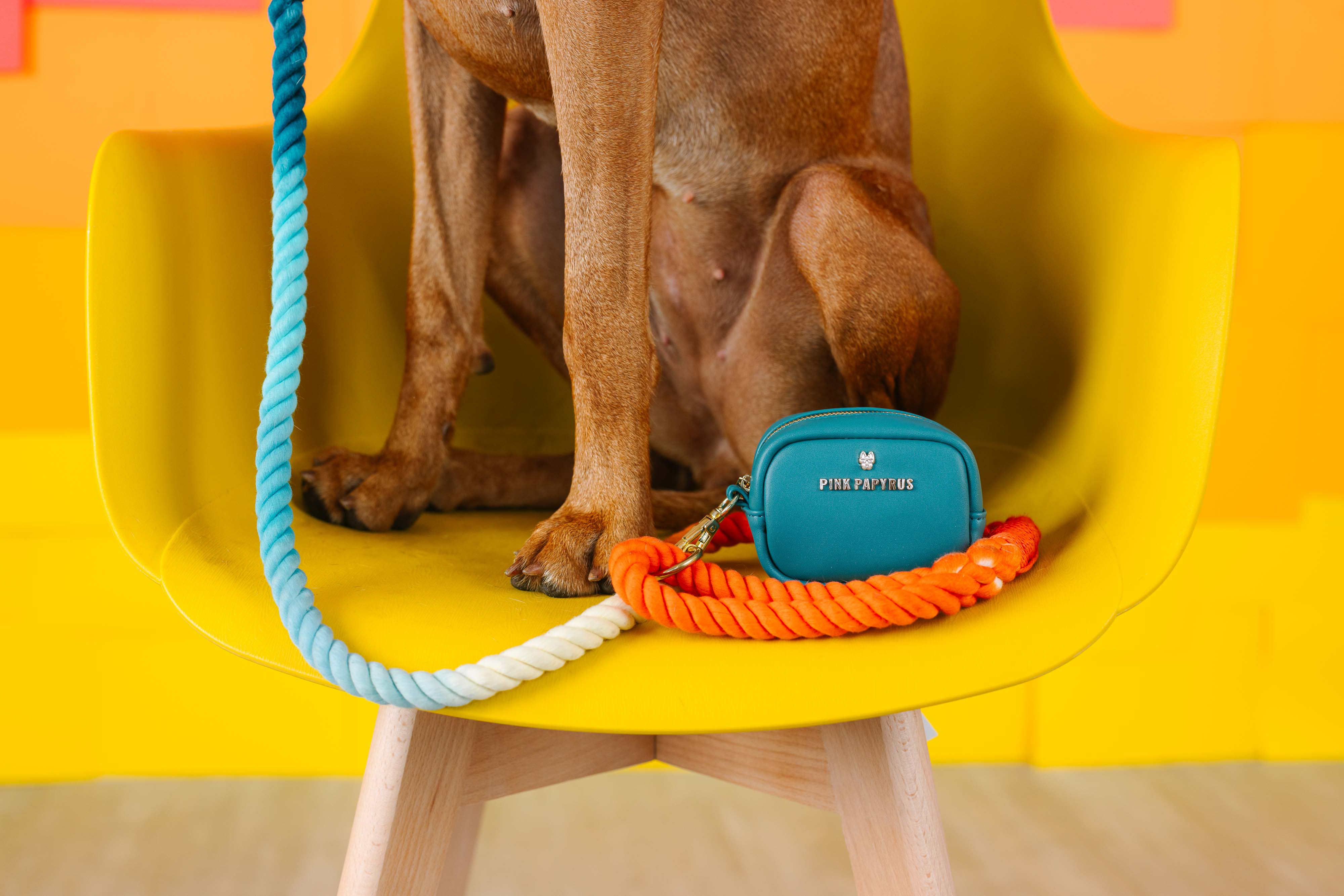 Dario Waste Bag Holder & Treat Pouch