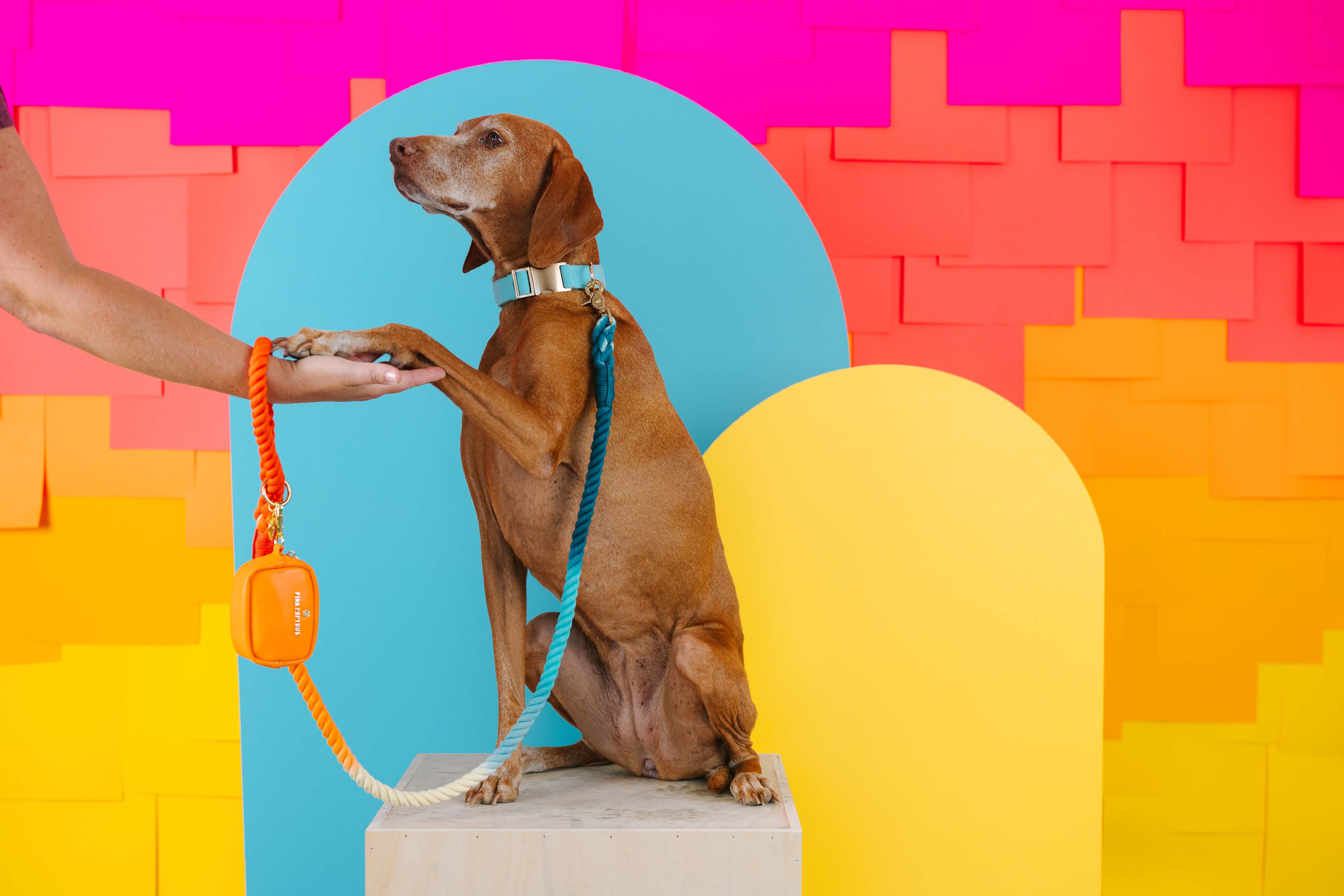 Beau Rope Dog Leash | Pink Papyrus