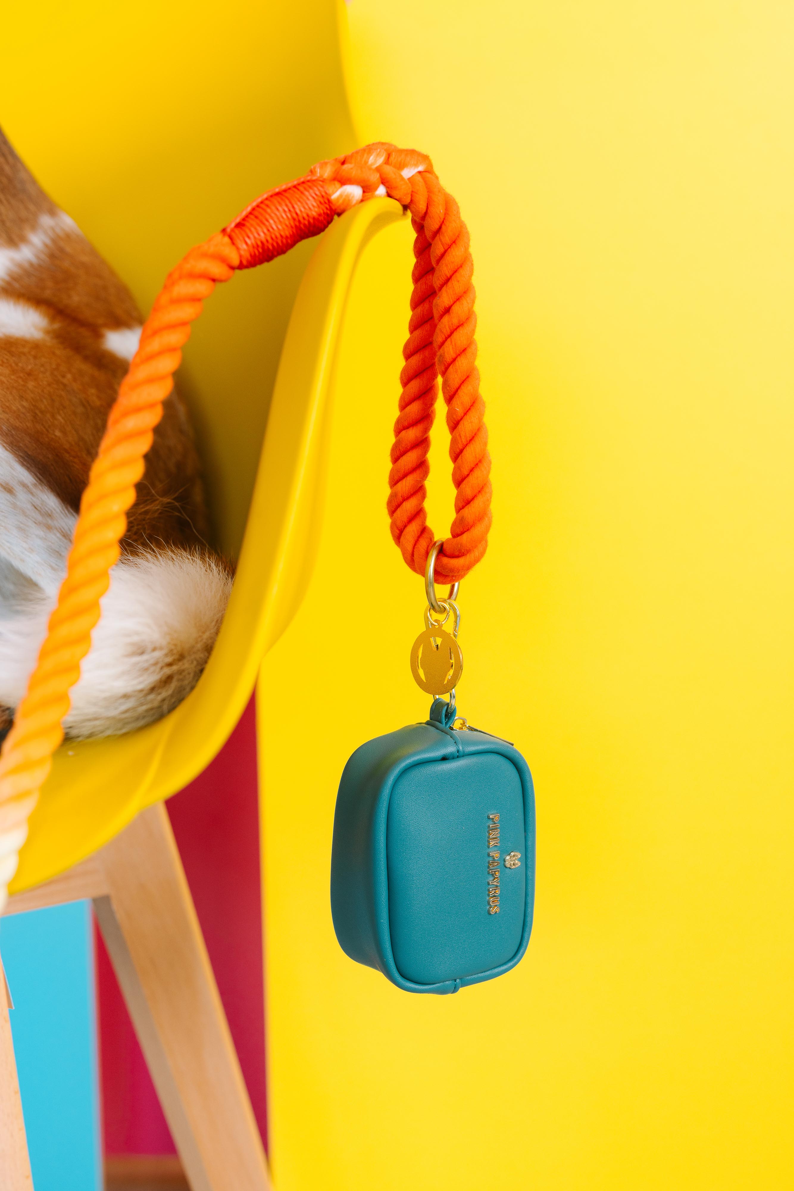 Dario Waste Bag Holder & Treat Pouch