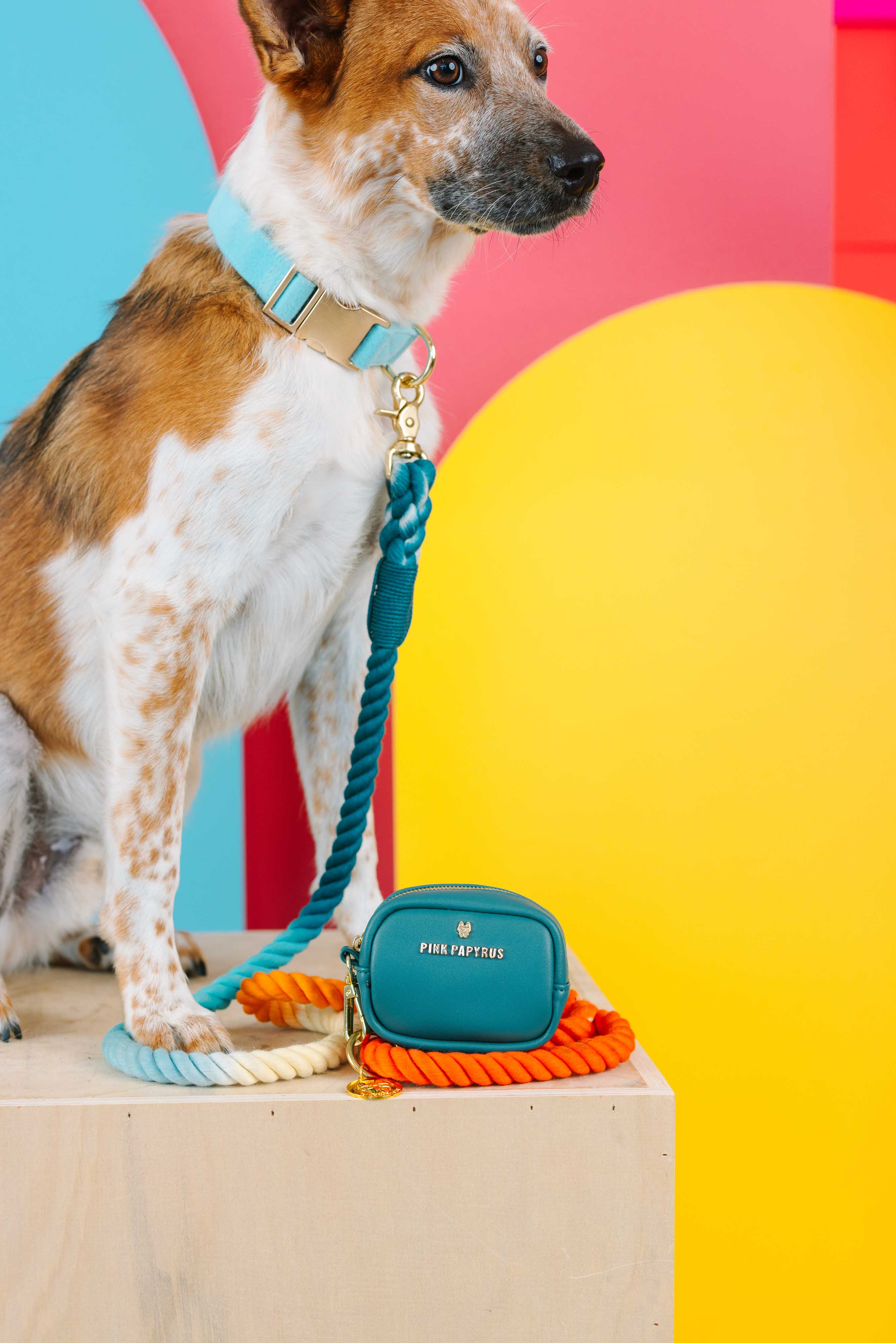 Dario Waste Bag Holder & Treat Pouch