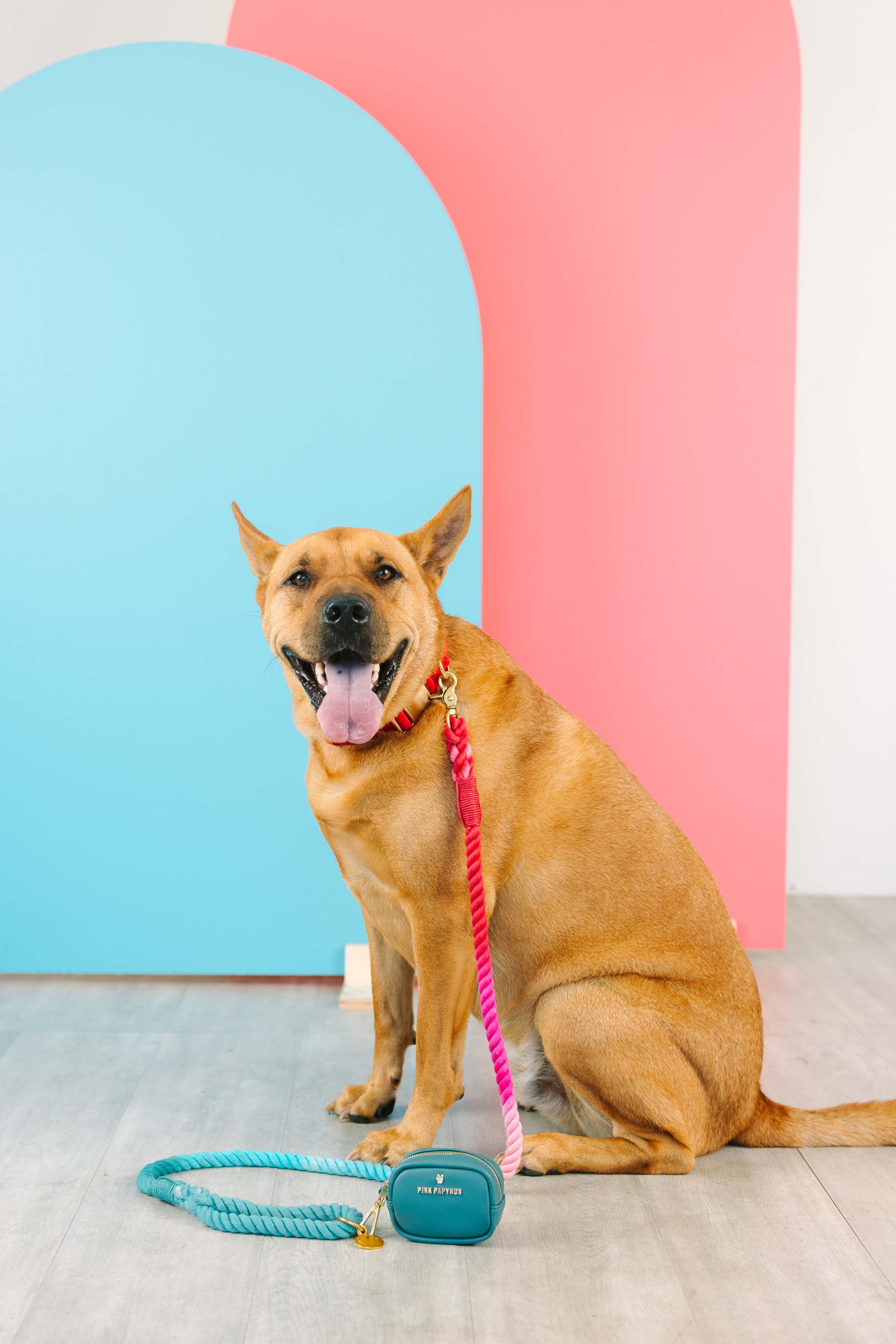 Micah Rope Dog Leash | Pink Papyrus