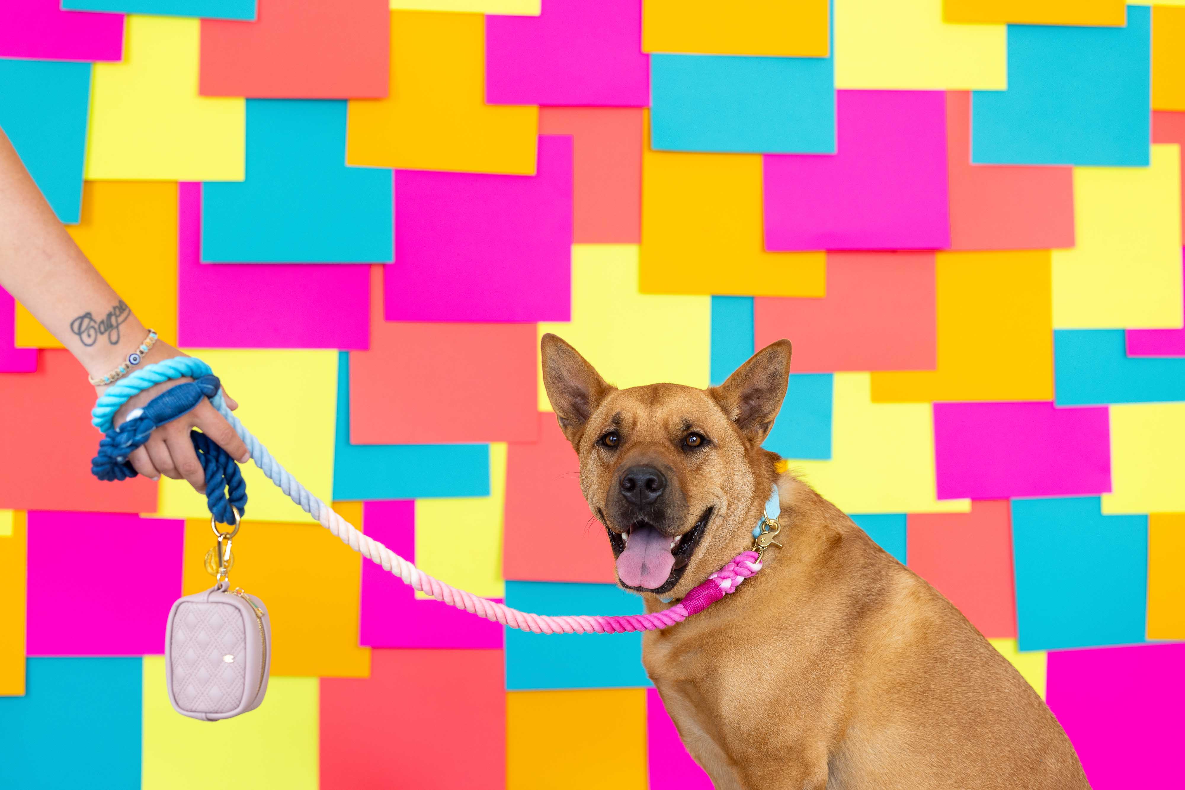 Maddox Rope Dog Leash | Pink Papyrus