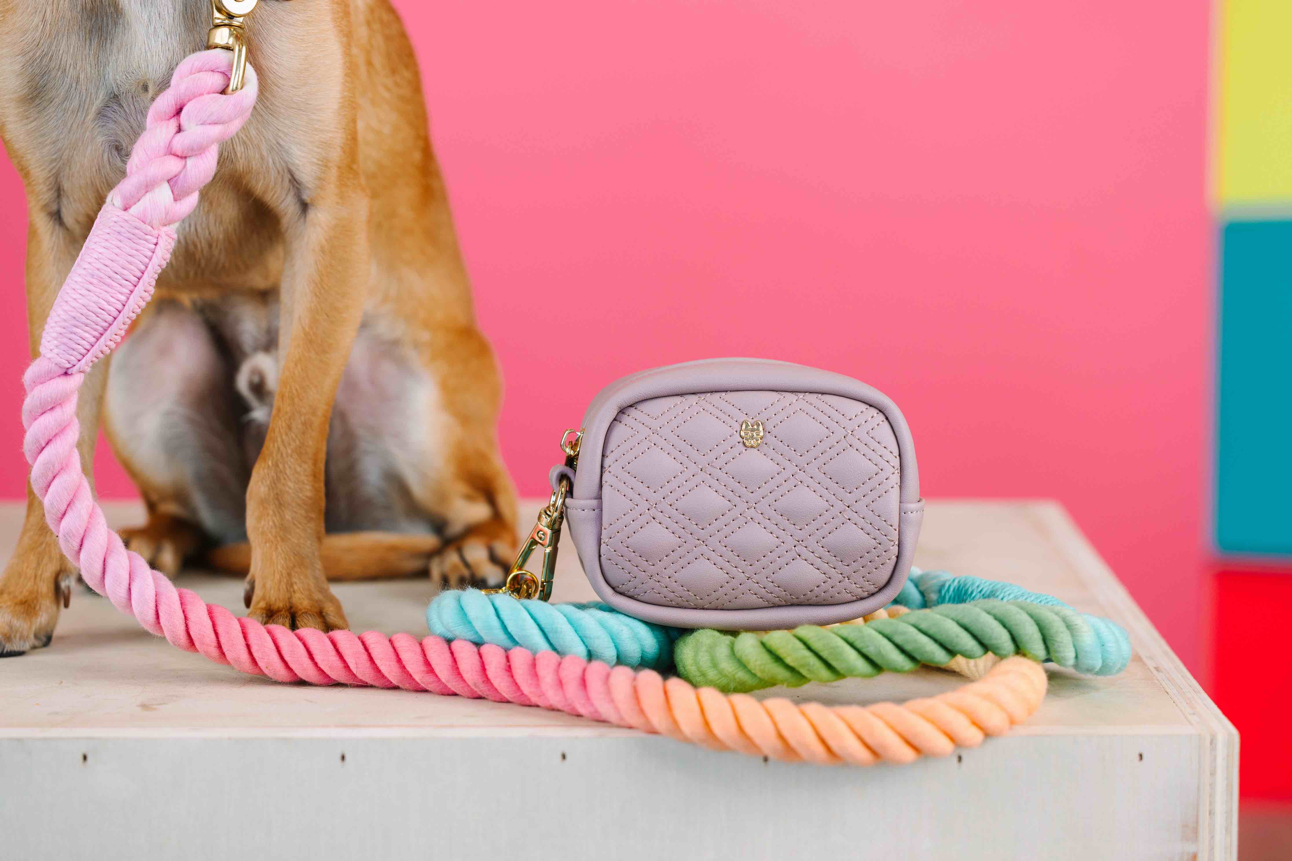 Willow Waste Bag Holder & Treat Pouch | Pink Papyrus