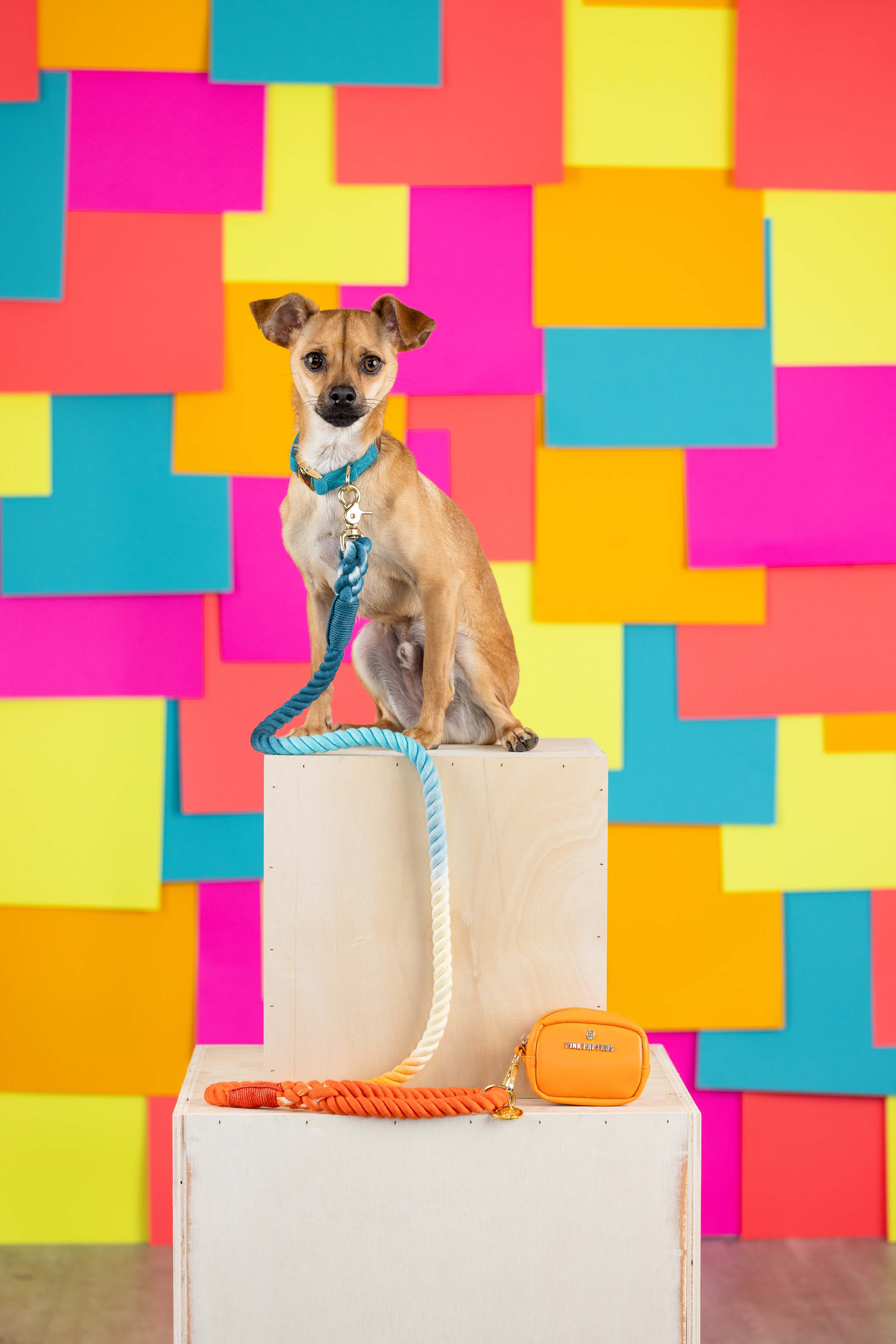 Beau Rope Dog Leash | Pink Papyrus