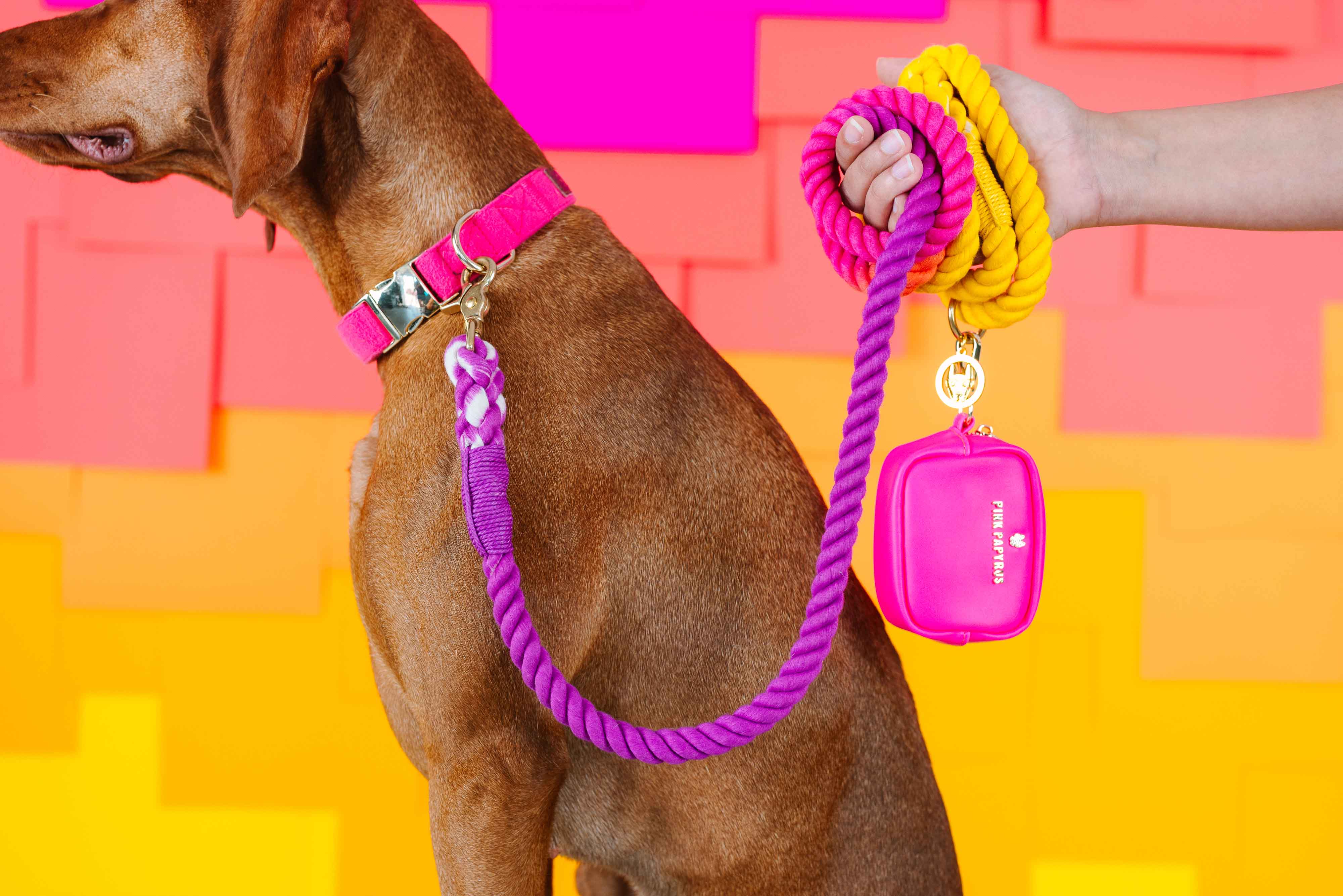 Roxy Rope Dog Leash | Pink Papyrus