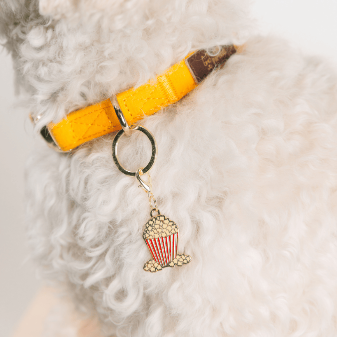 Popcorn Pet Charm | Pink Papyrus