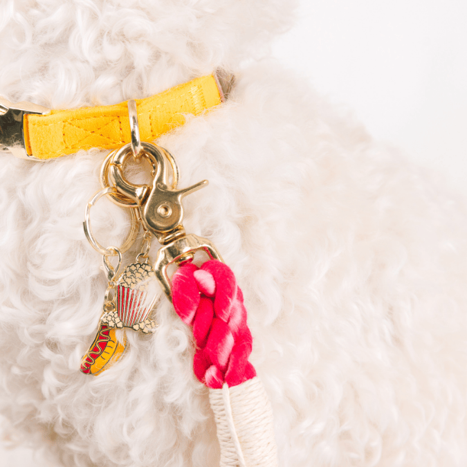 Hotdog & Popcorn Pet Charm Set | Pink Papyrus