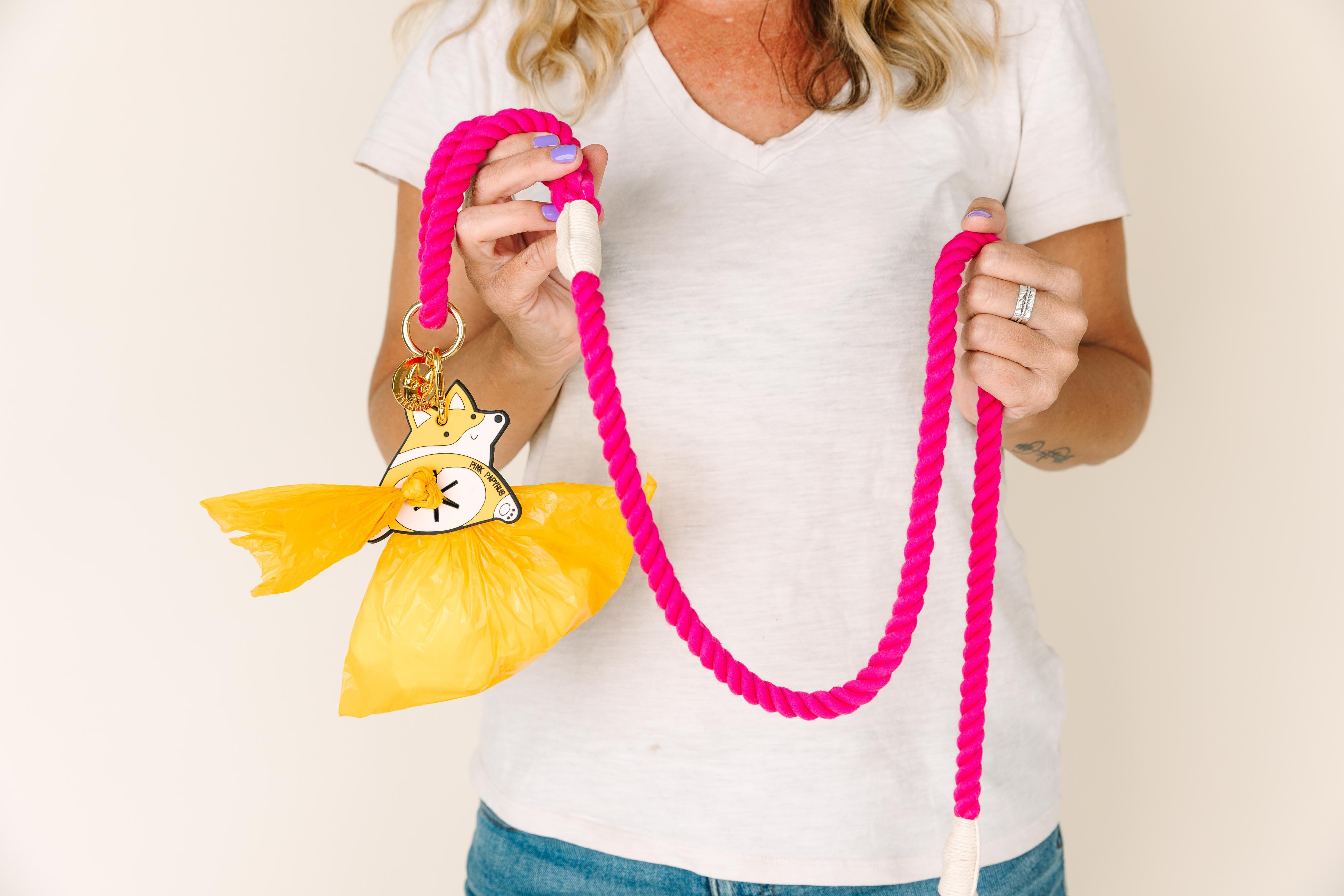 Sunshine State Of Mind Dog Collar Bundle | Pink Papyrus