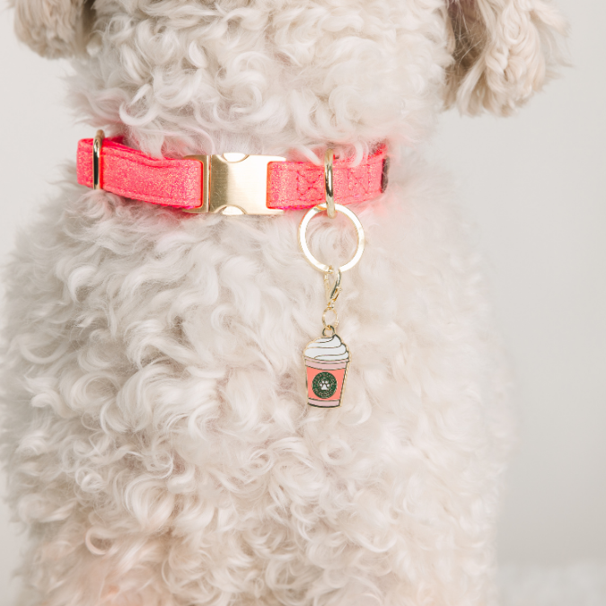 Puppuccino Pet Charm