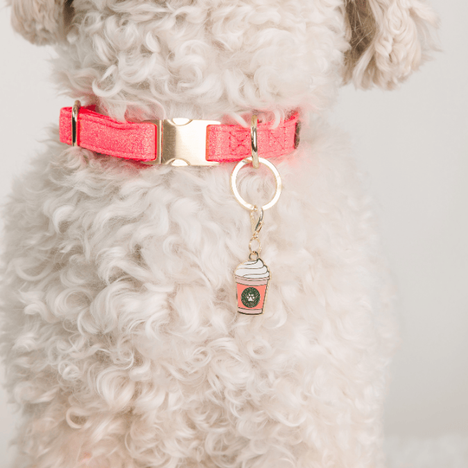 Puppuccino Pet Charm | Pink Papyrus