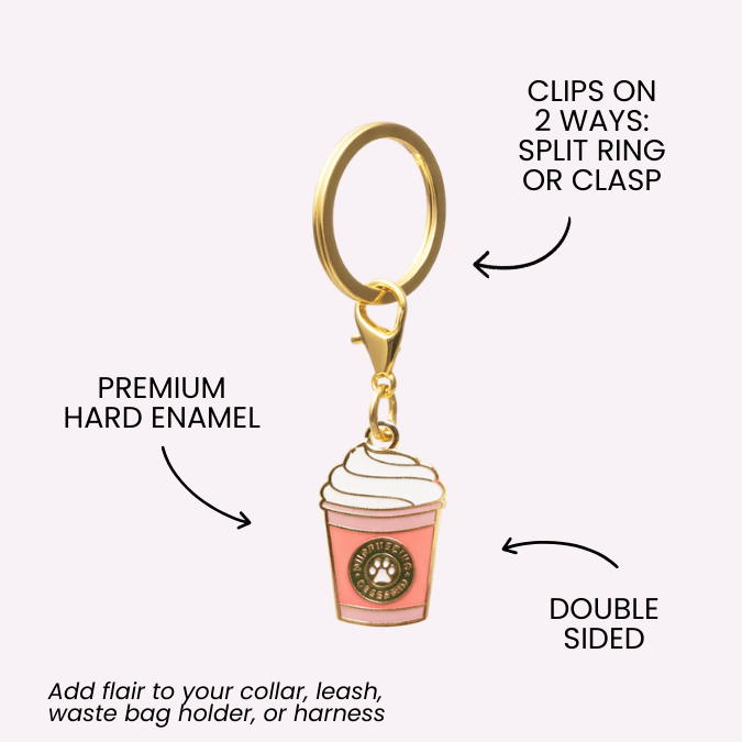 Puppuccino & Tennis Ball Pet Charm Set | Pink Papyrus