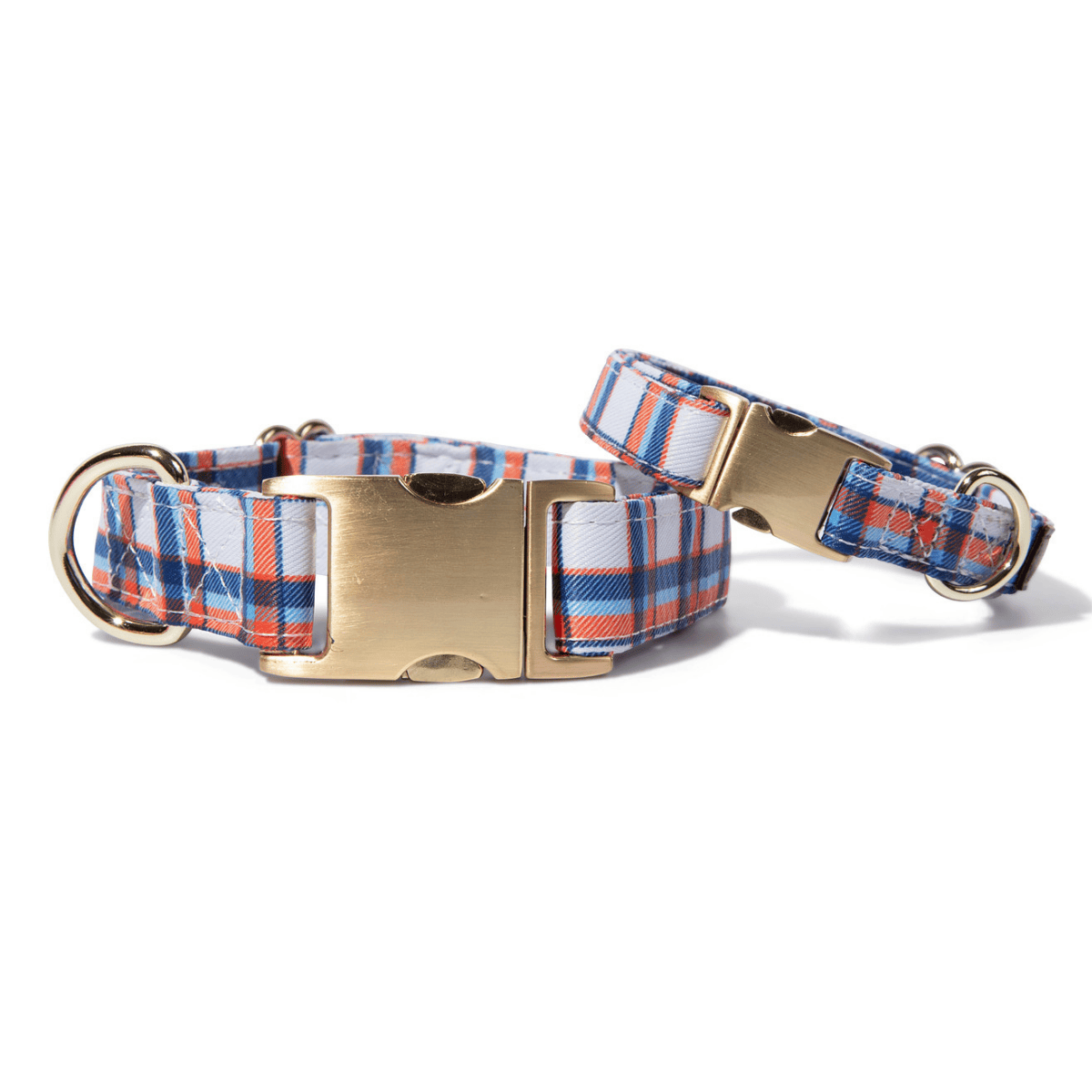 Ringo Dog Collar | Pink Papyrus