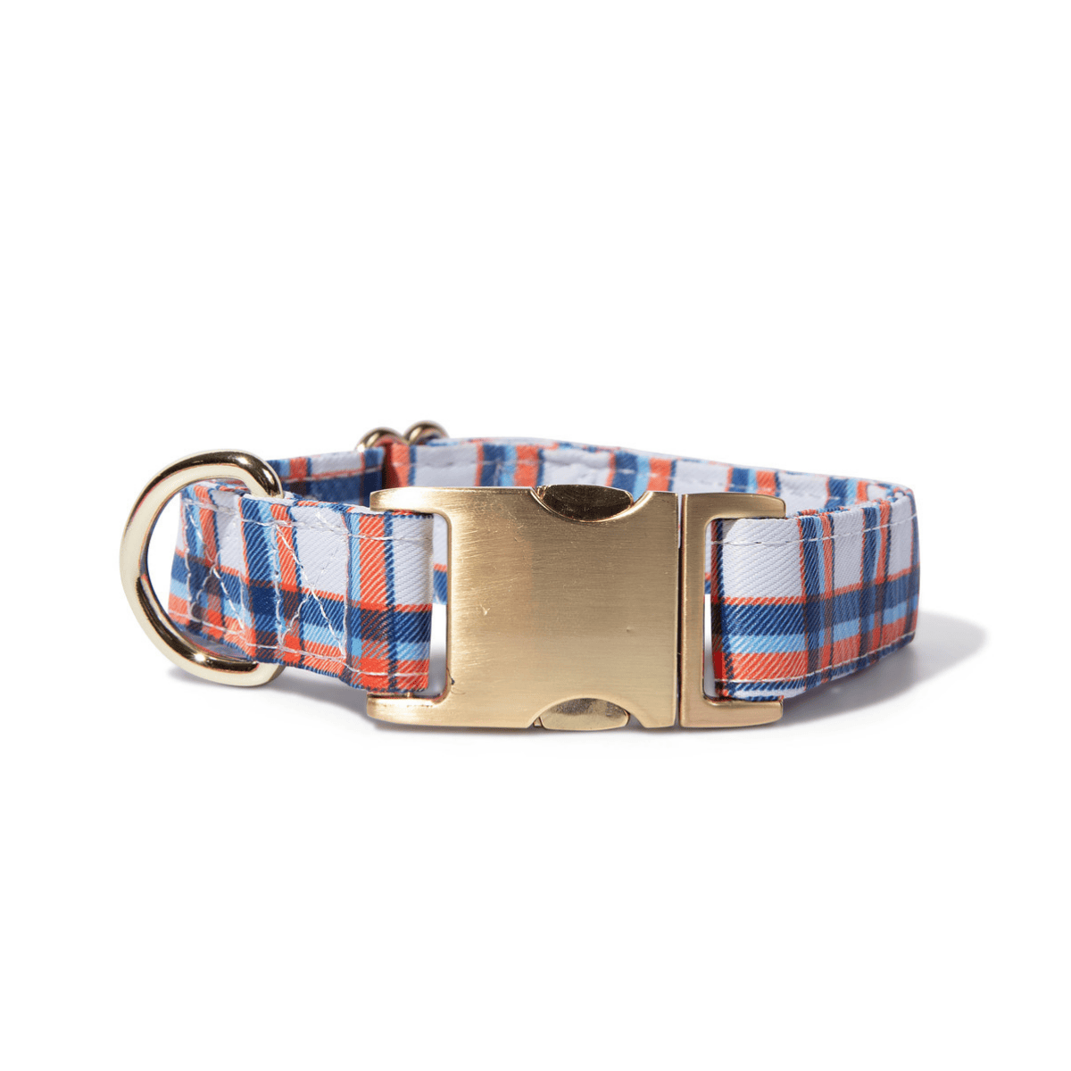 Ringo Dog Collar