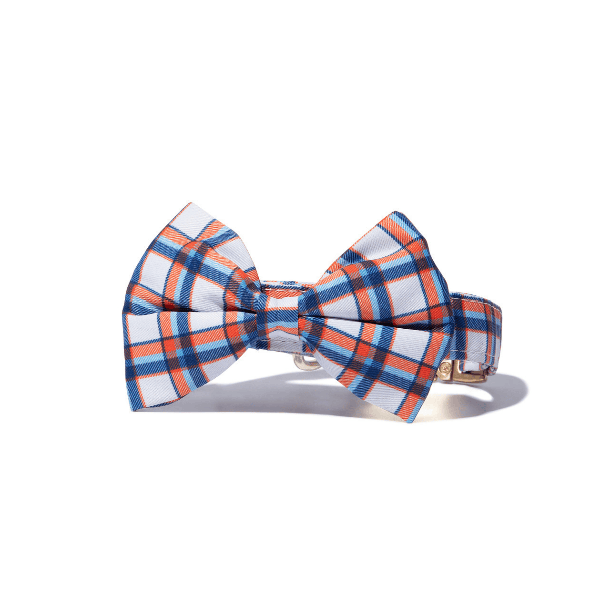 Ringo Bow Tie Dog Collar | Pink Papyrus