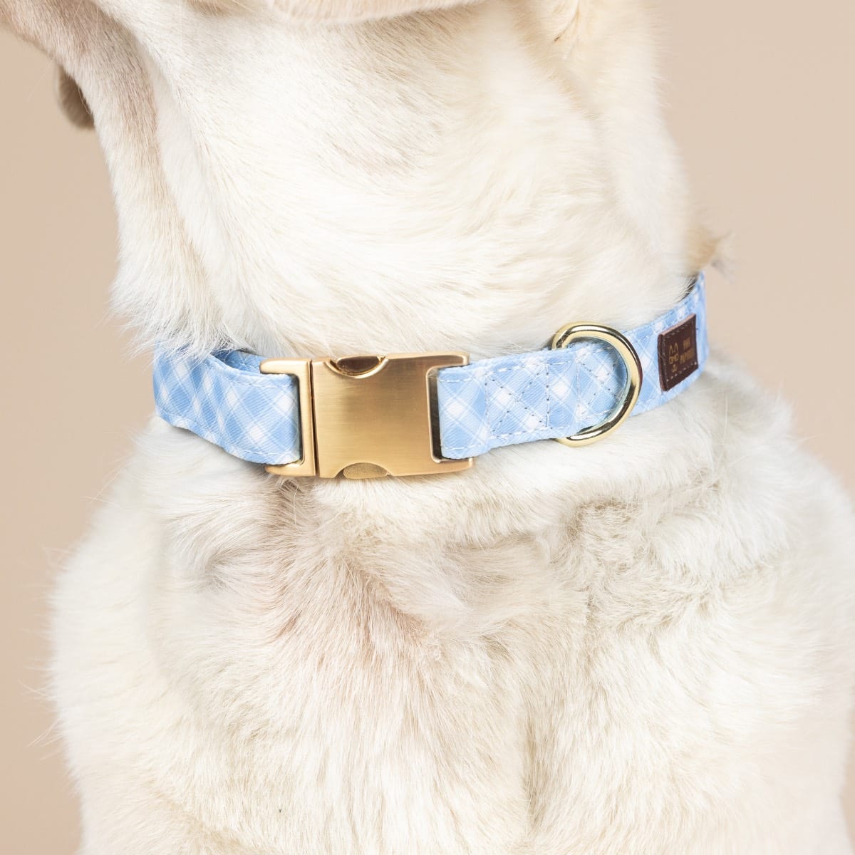 Rory Dog Collar | Pink Papyrus