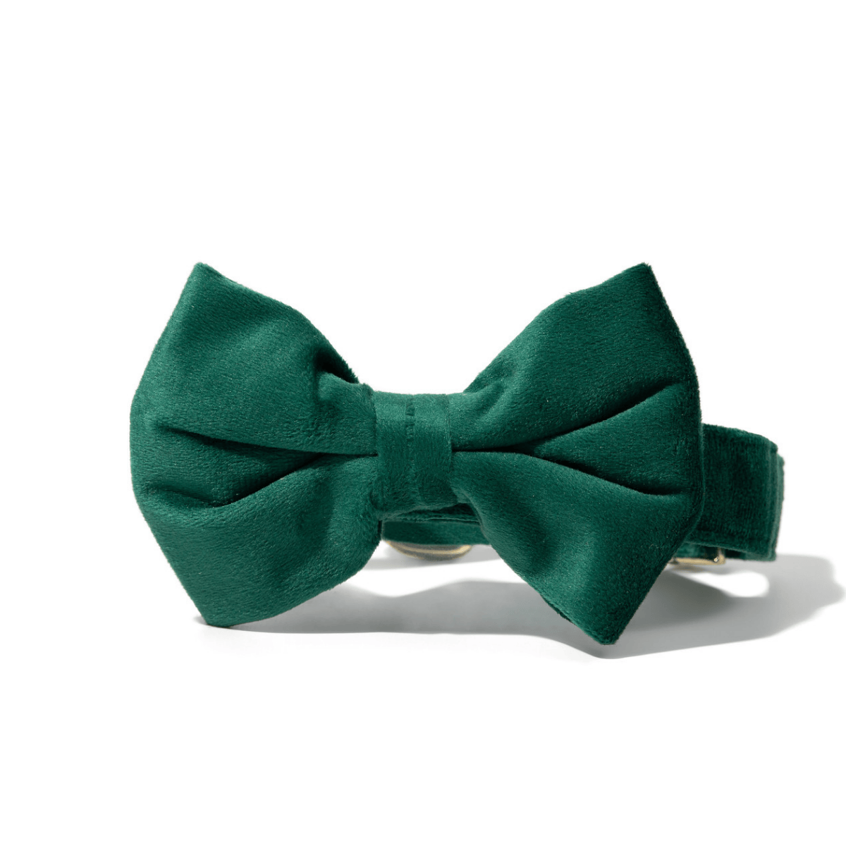 Rue Bow Tie Dog Collar | Pink Papyrus
