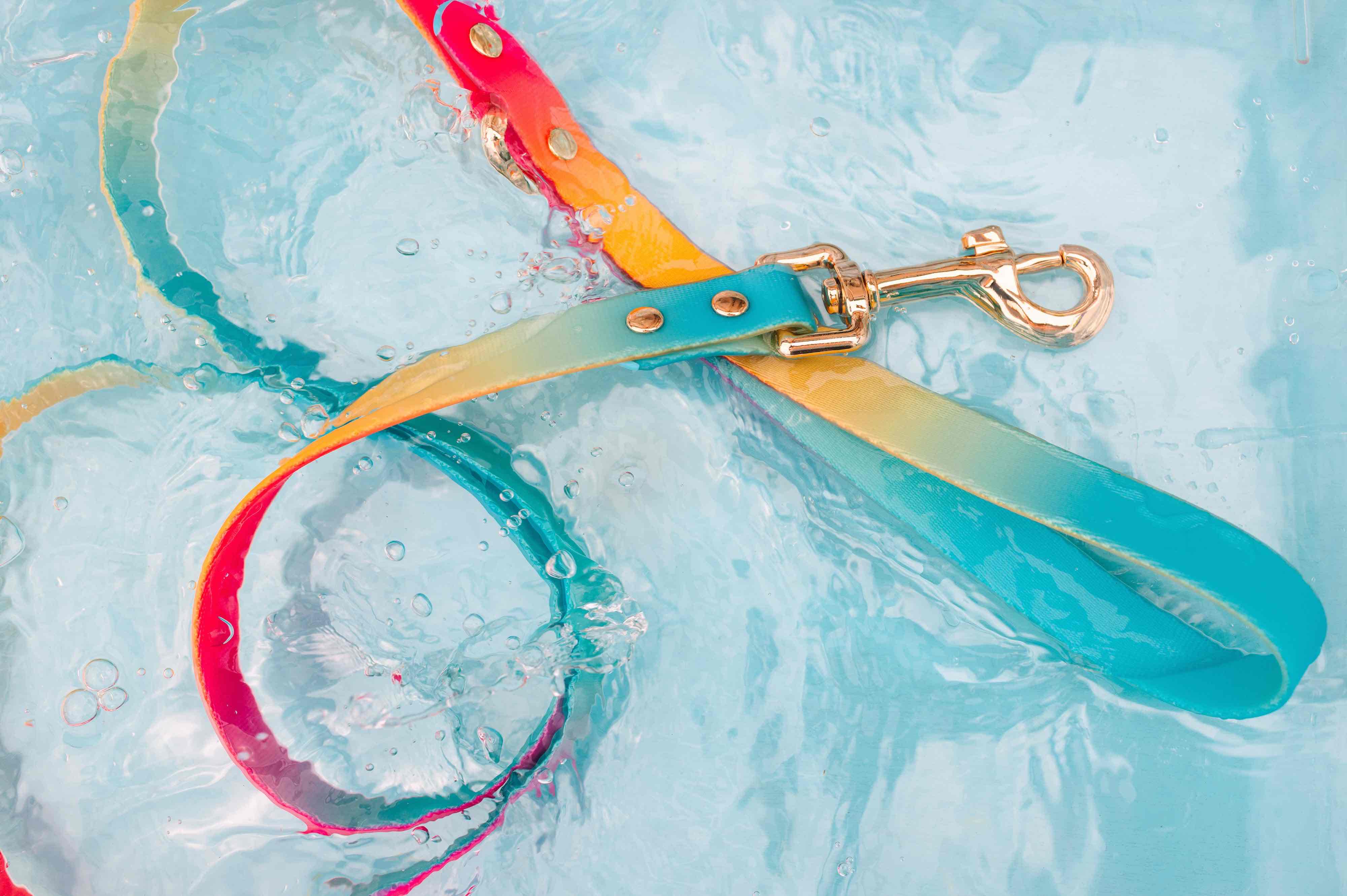 Prism Dreams Dog Collar Bundle