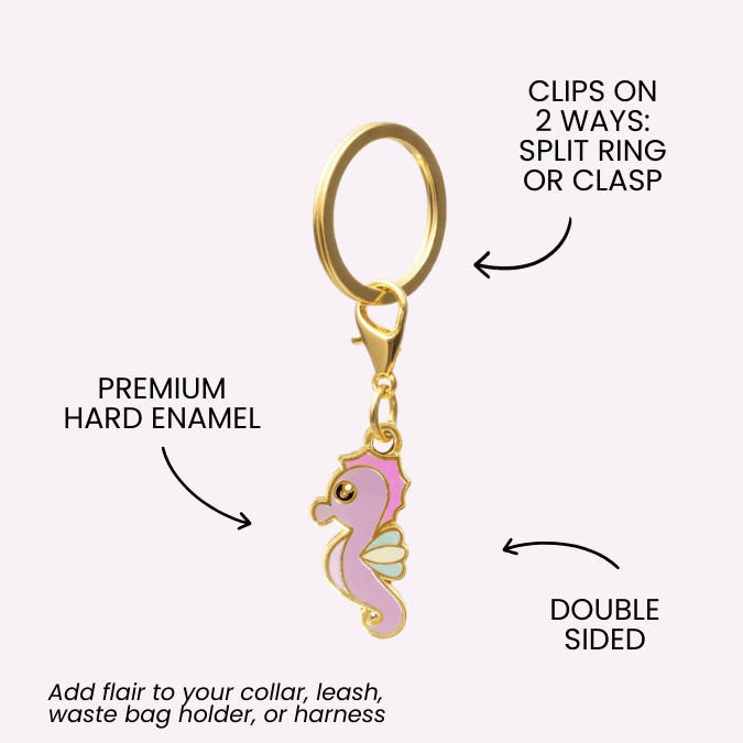 Seahorse 2 | pinkpapyrus.myshopify.com
