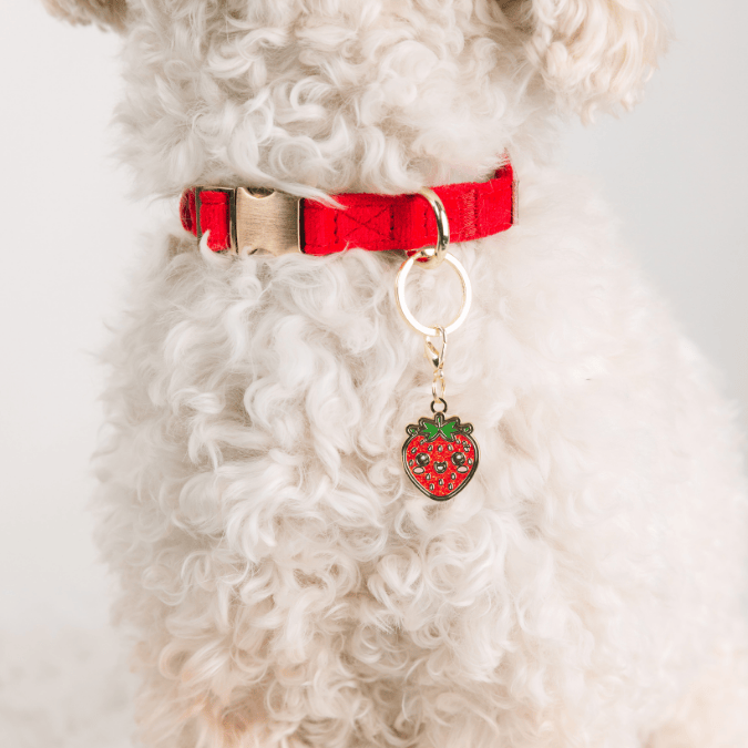 Strawberry Pet Charm | Pink Papyrus