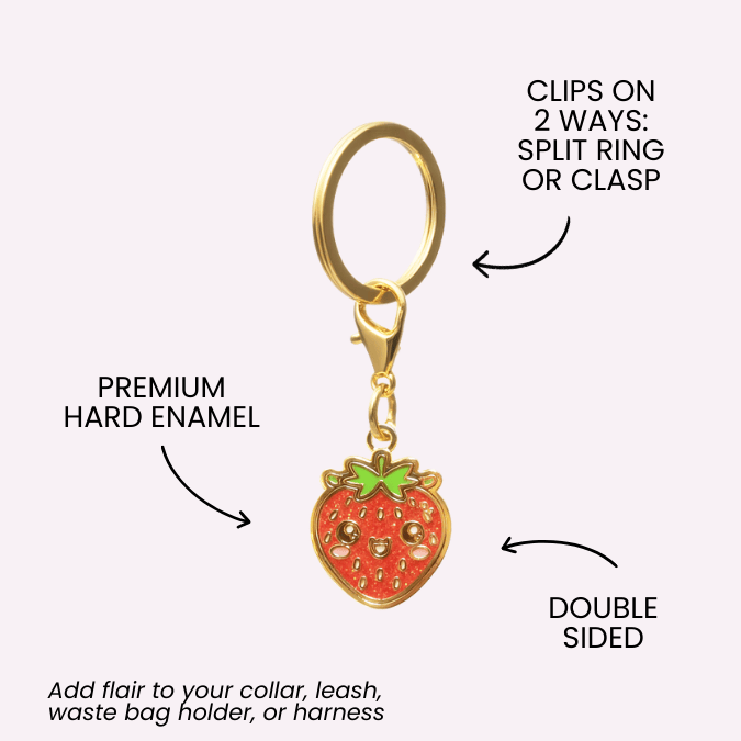 Strawberry Pet Charm | Pink Papyrus