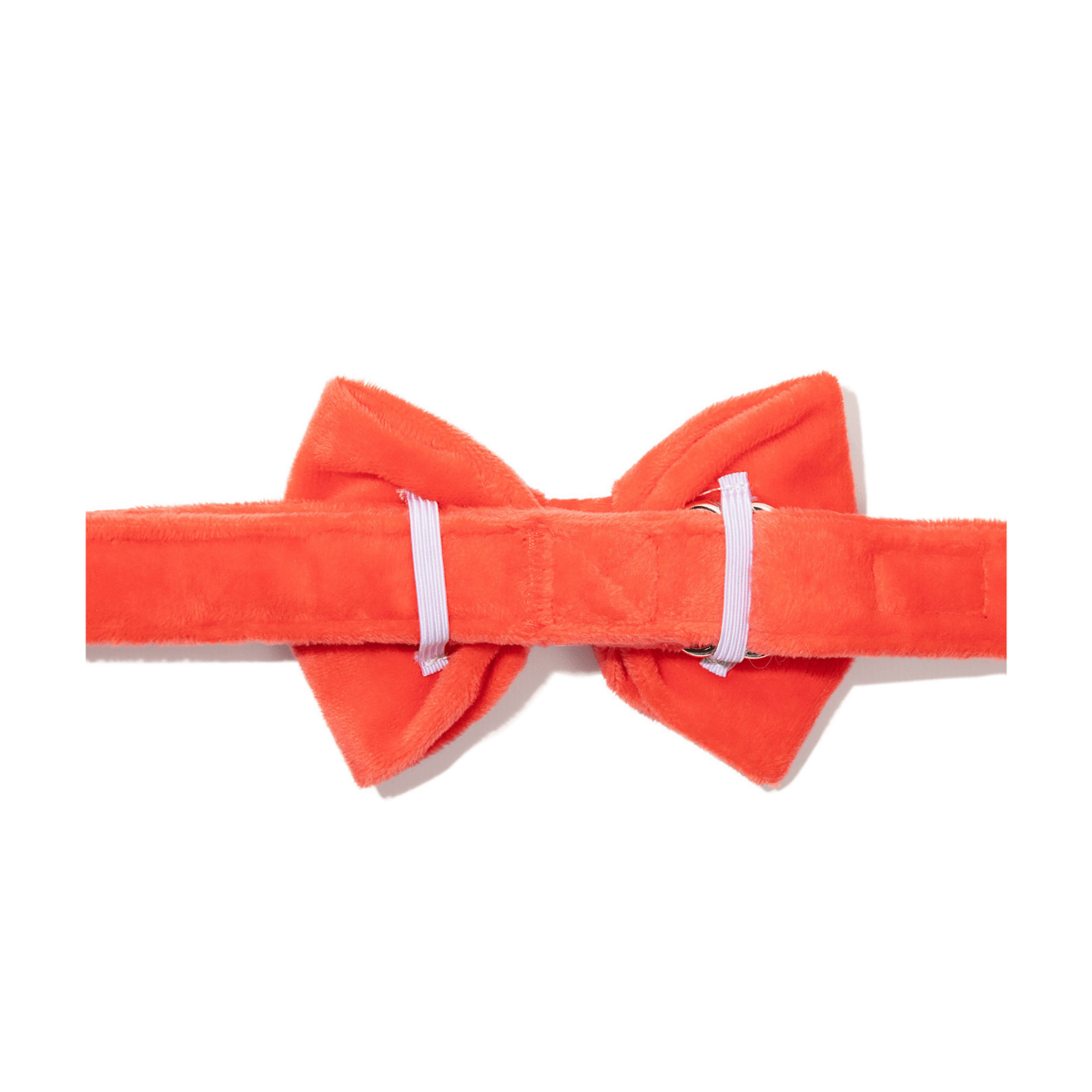Suki Bow Tie Dog Collar | Pink Papyrus