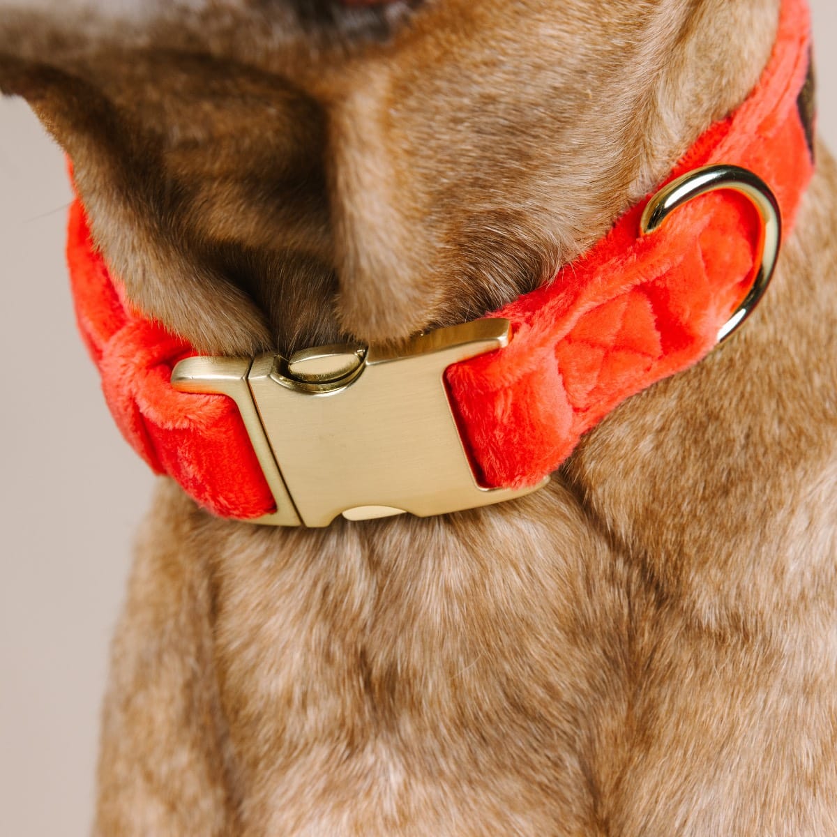 Suki Dog Collar | Pink Papyrus