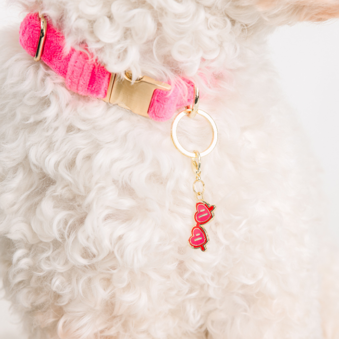 Sunglasses Pet Charm