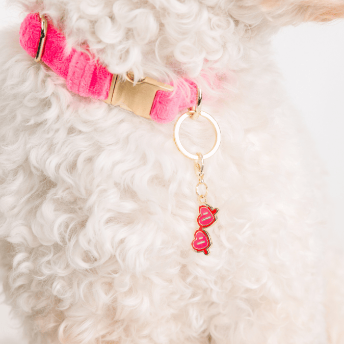 Sunglasses Pet Charm | Pink Papyrus