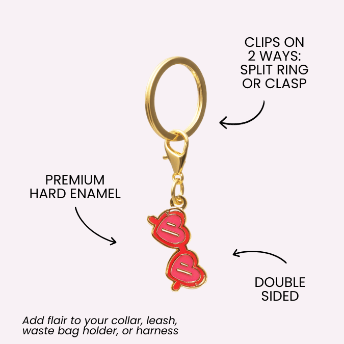 Sunglasses Pet Charm | Pink Papyrus